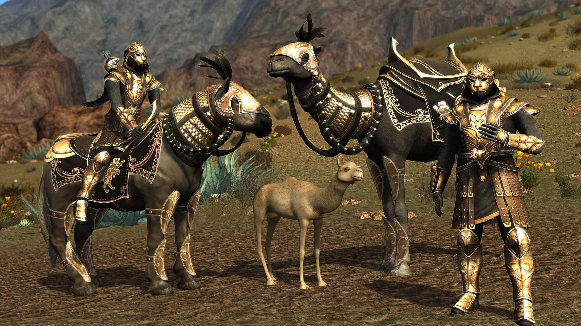 Screenshot for The Lord of the Rings Online