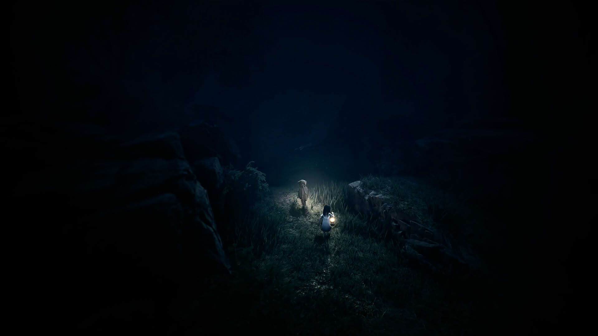 Screenshot for Reanimal