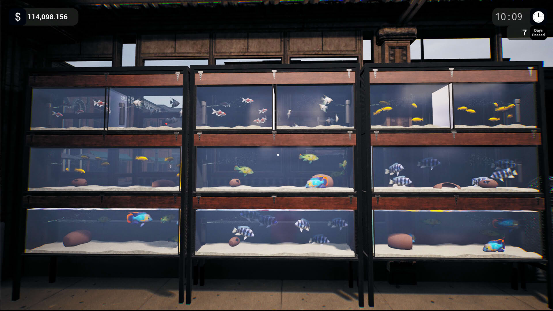 Screenshot for Exotica: Petshop Simulator