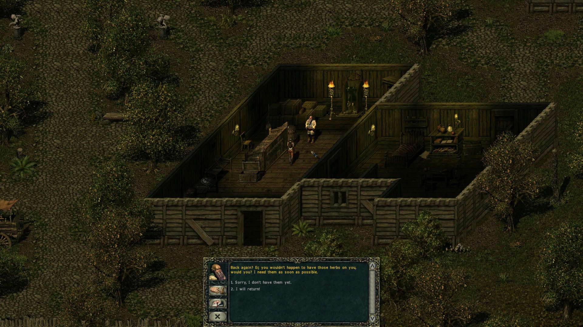 Screenshot for Divine Divinity