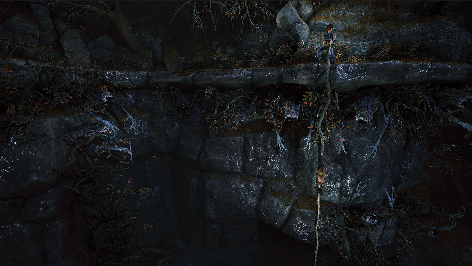 Screenshot for Brothers: A Tale of Two Sons Remake
