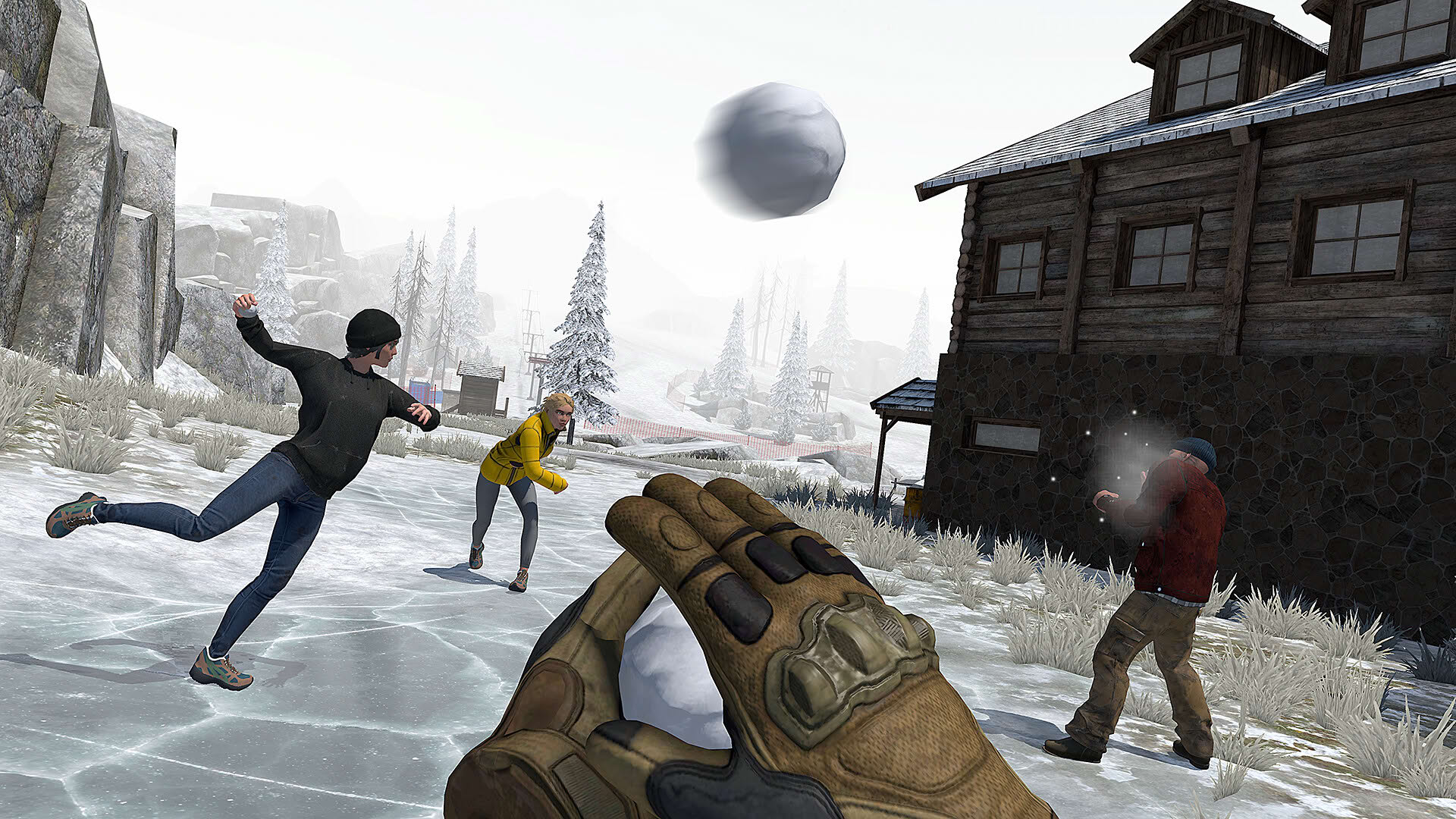 Screenshot for Survival Nation