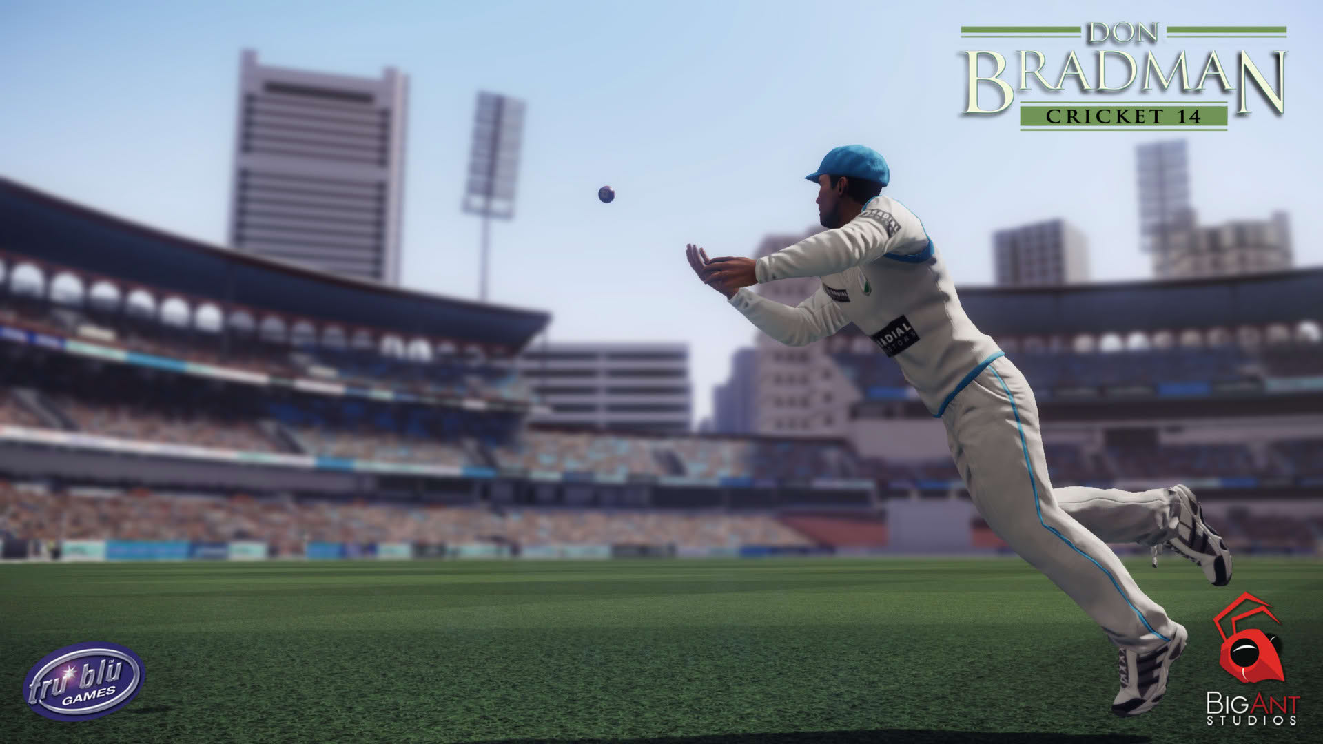 Screenshot for Don Bradman Cricket 14