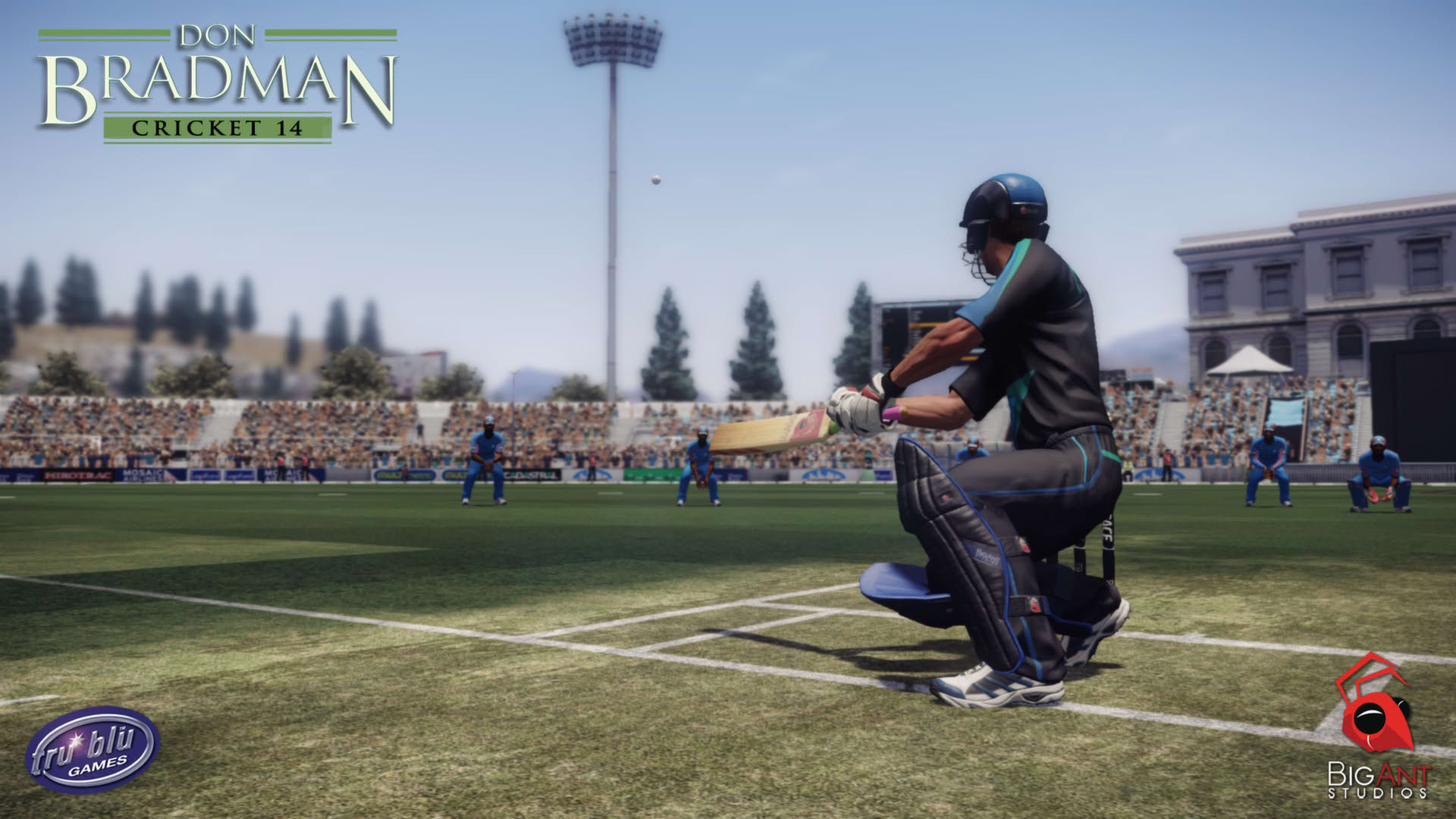 Screenshot for Don Bradman Cricket 14