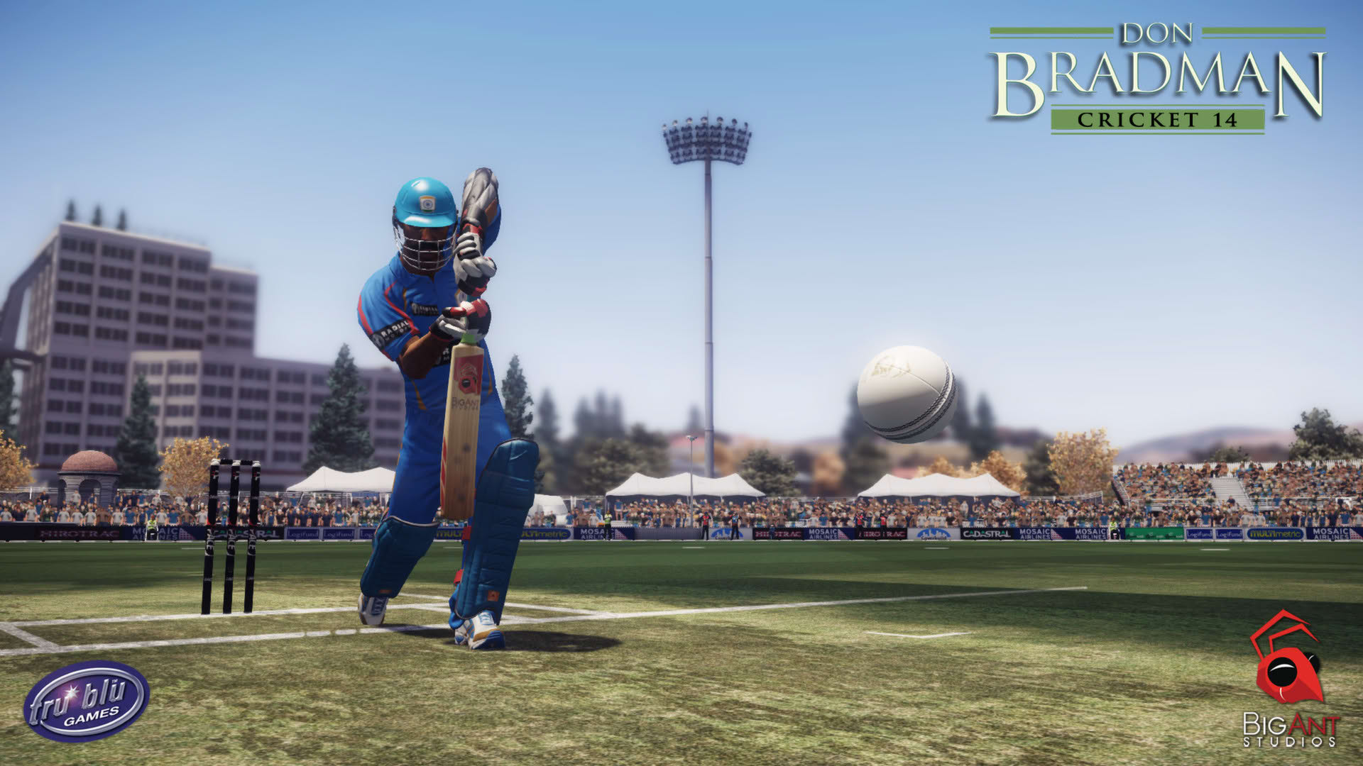 Screenshot for Don Bradman Cricket 14