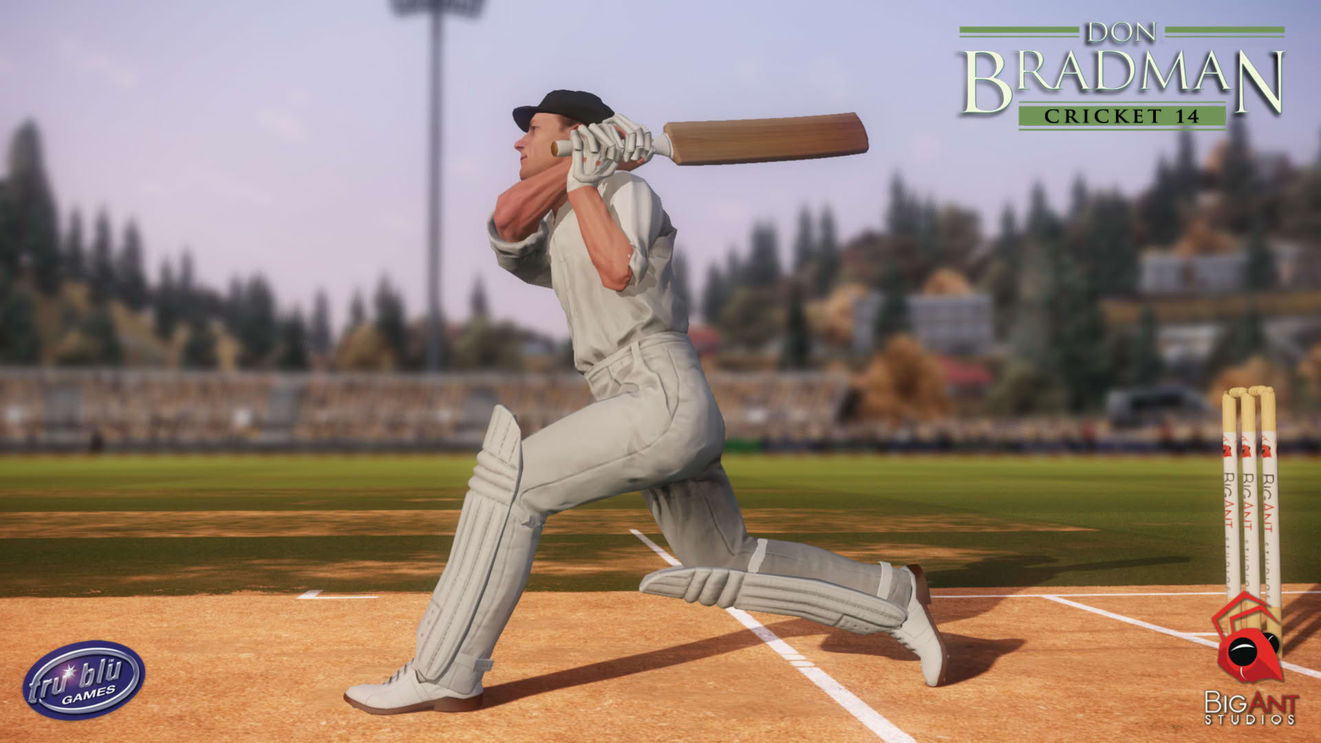 Screenshot for Don Bradman Cricket 14