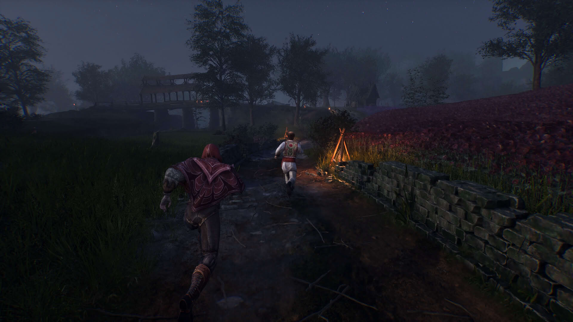 Screenshot for Vampires: Bloodlord Rising