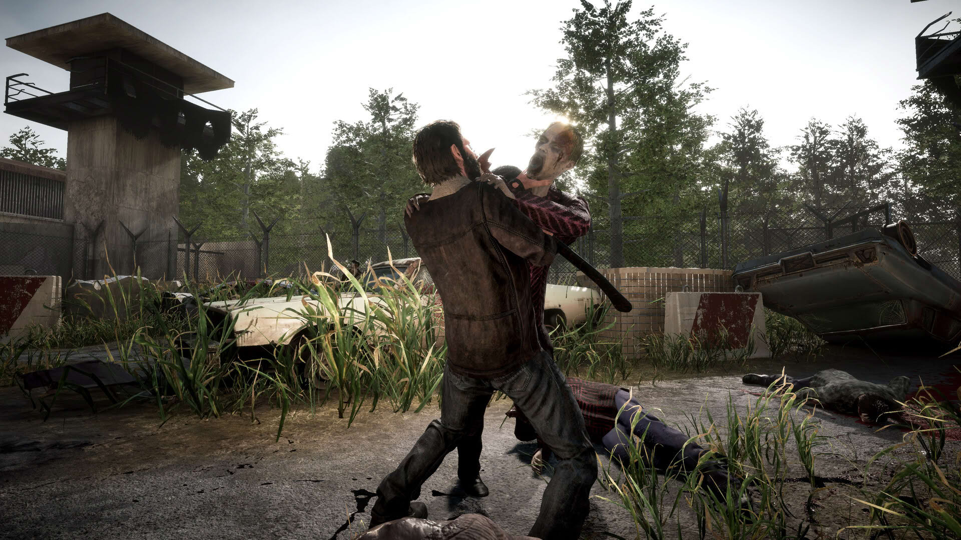 Screenshot for The Walking Dead: Destinies
