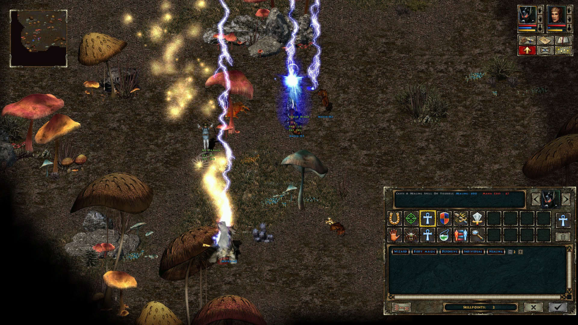 Screenshot for Beyond Divinity