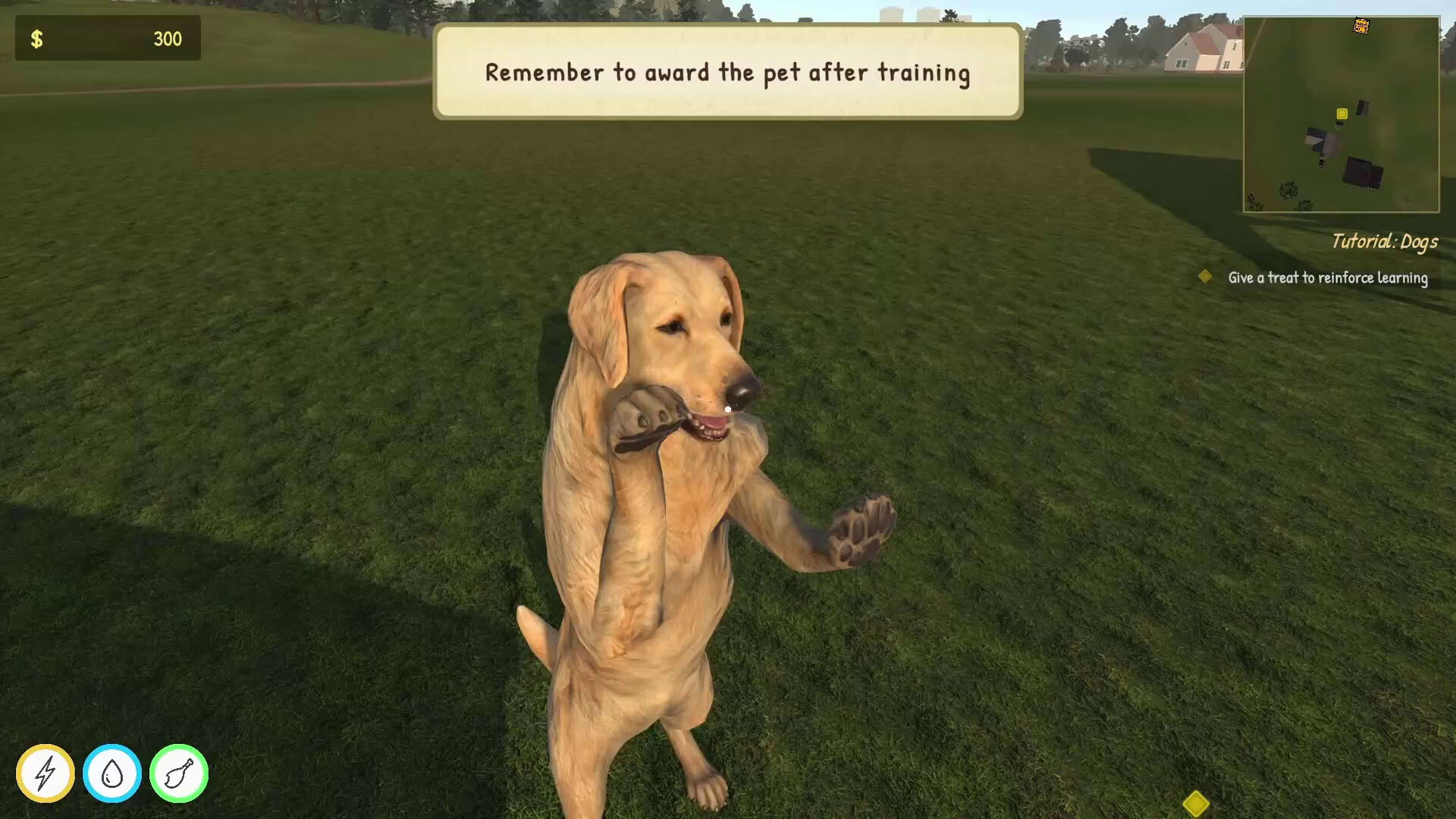 Screenshot for Animal Trainer Simulator