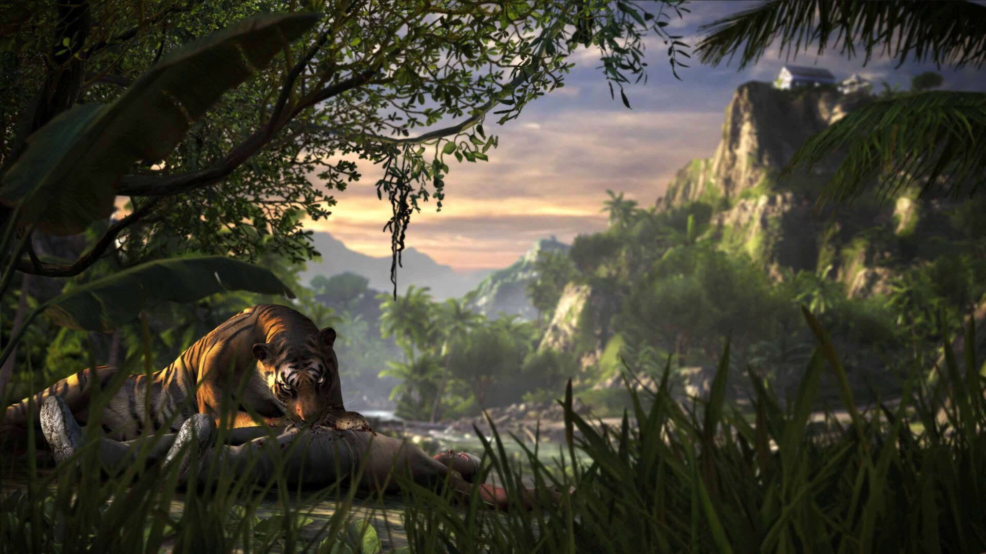 Screenshot for Far Cry 3