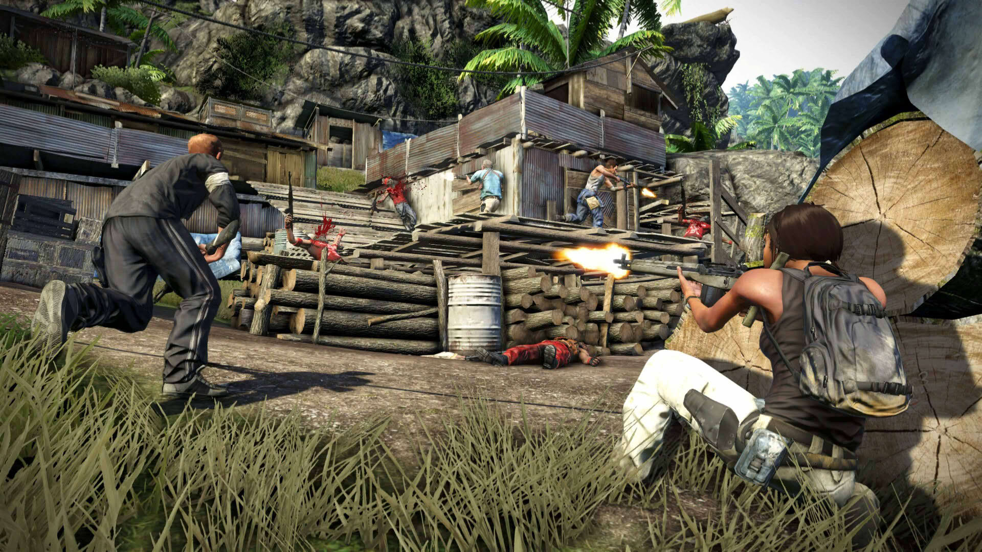 Screenshot for Far Cry 3