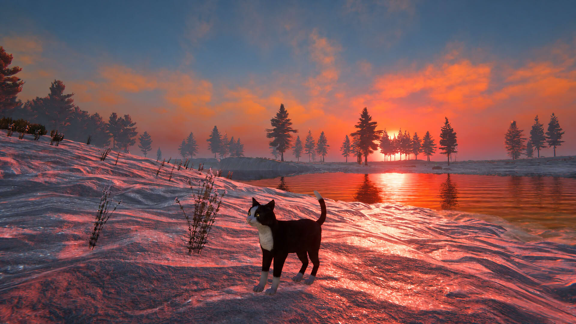 Screenshot for Cat Life
