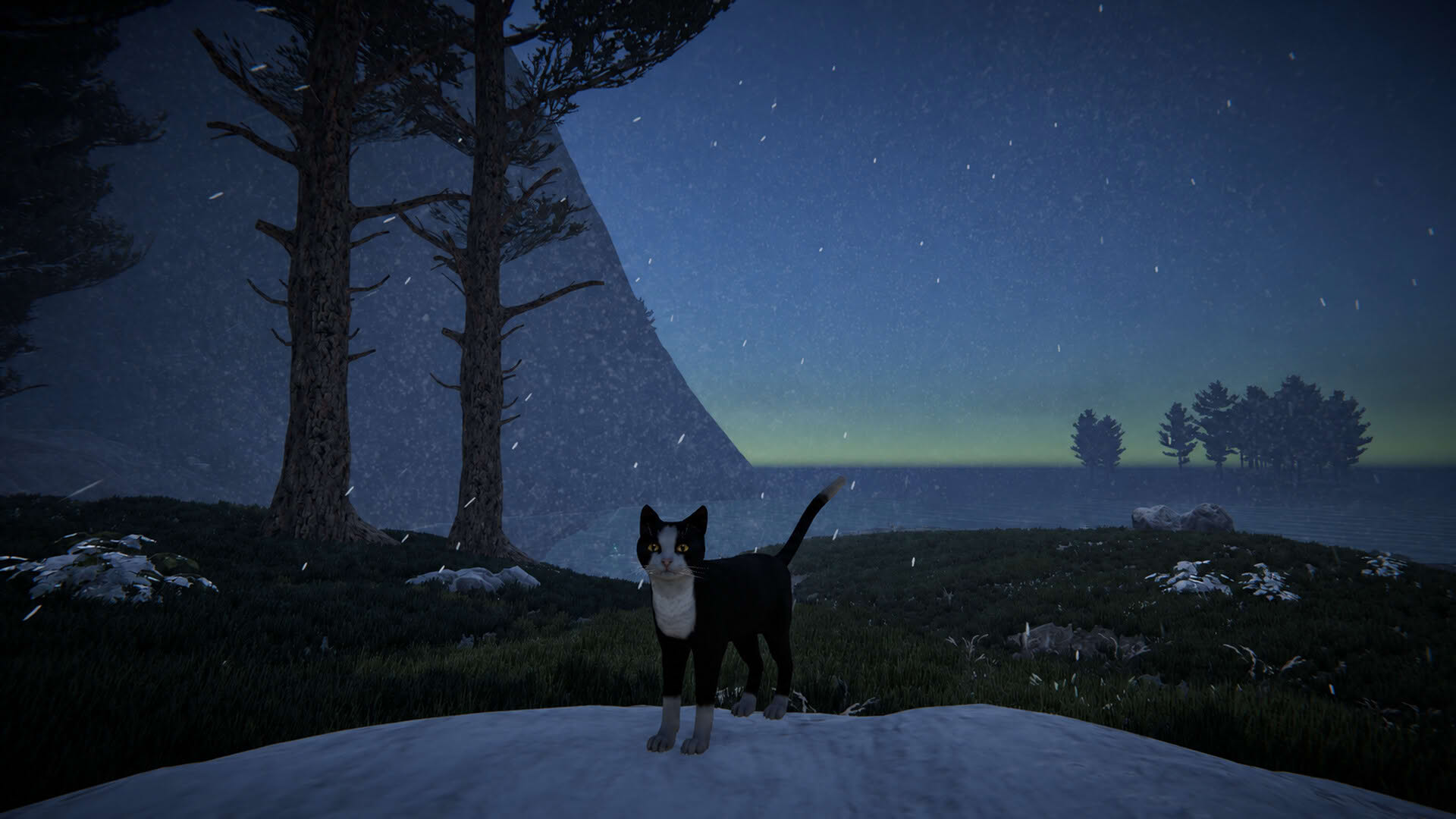 Screenshot for Cat Life