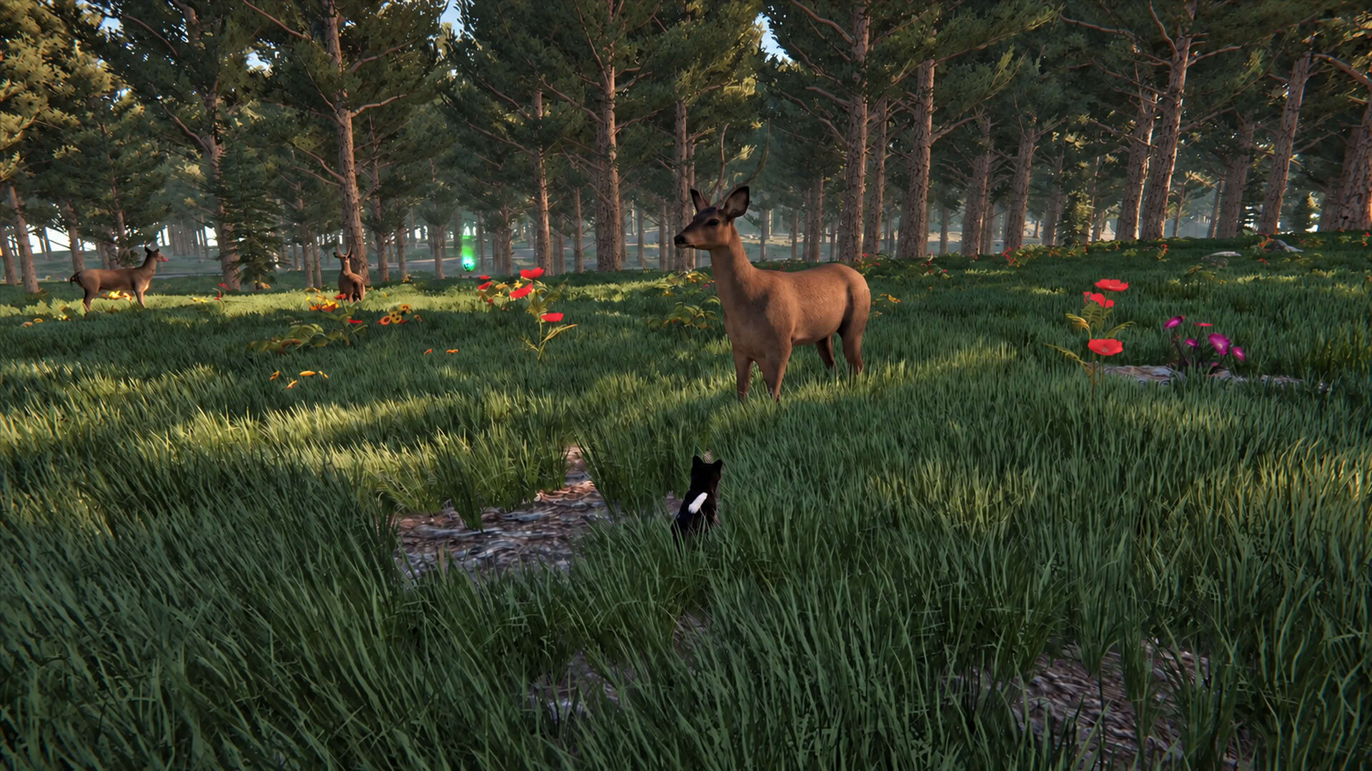 Screenshot for Cat Life