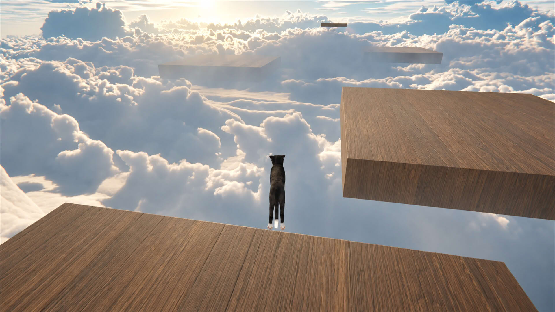 Screenshot for Cat Life