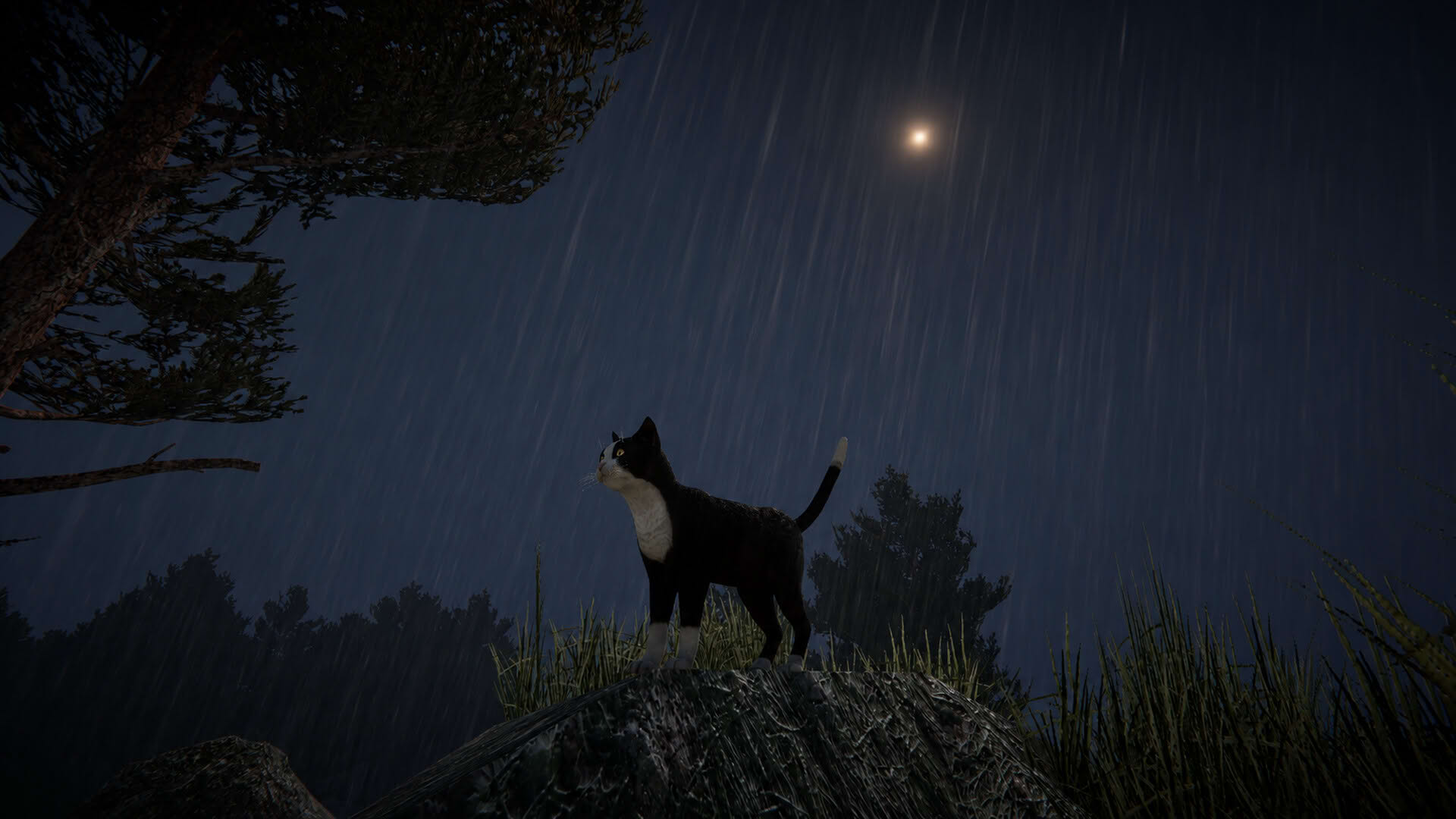 Screenshot for Cat Life