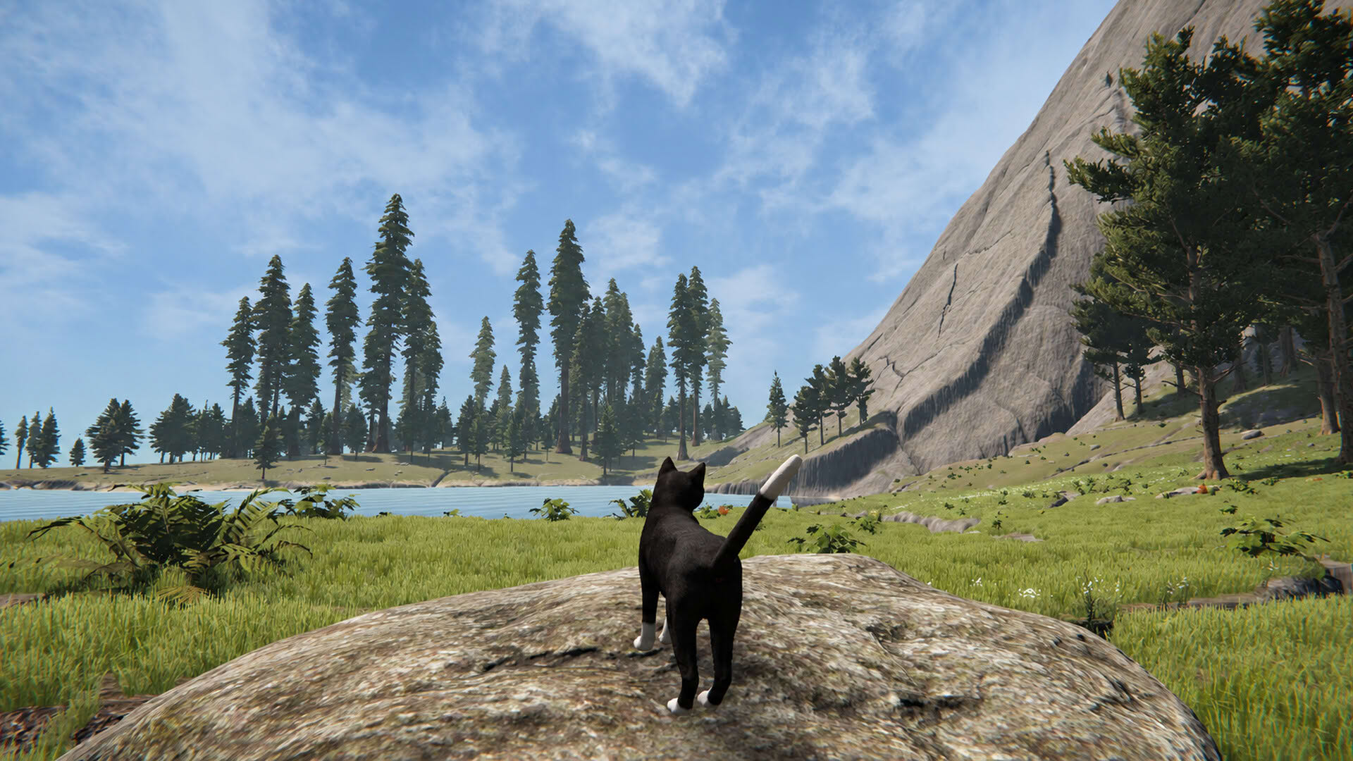 Screenshot for Cat Life