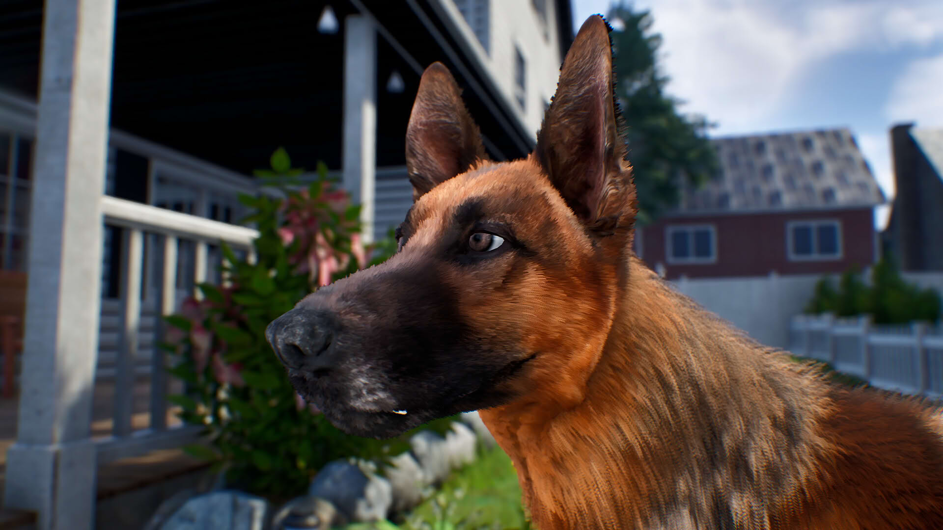 Screenshot for Doggy Up!