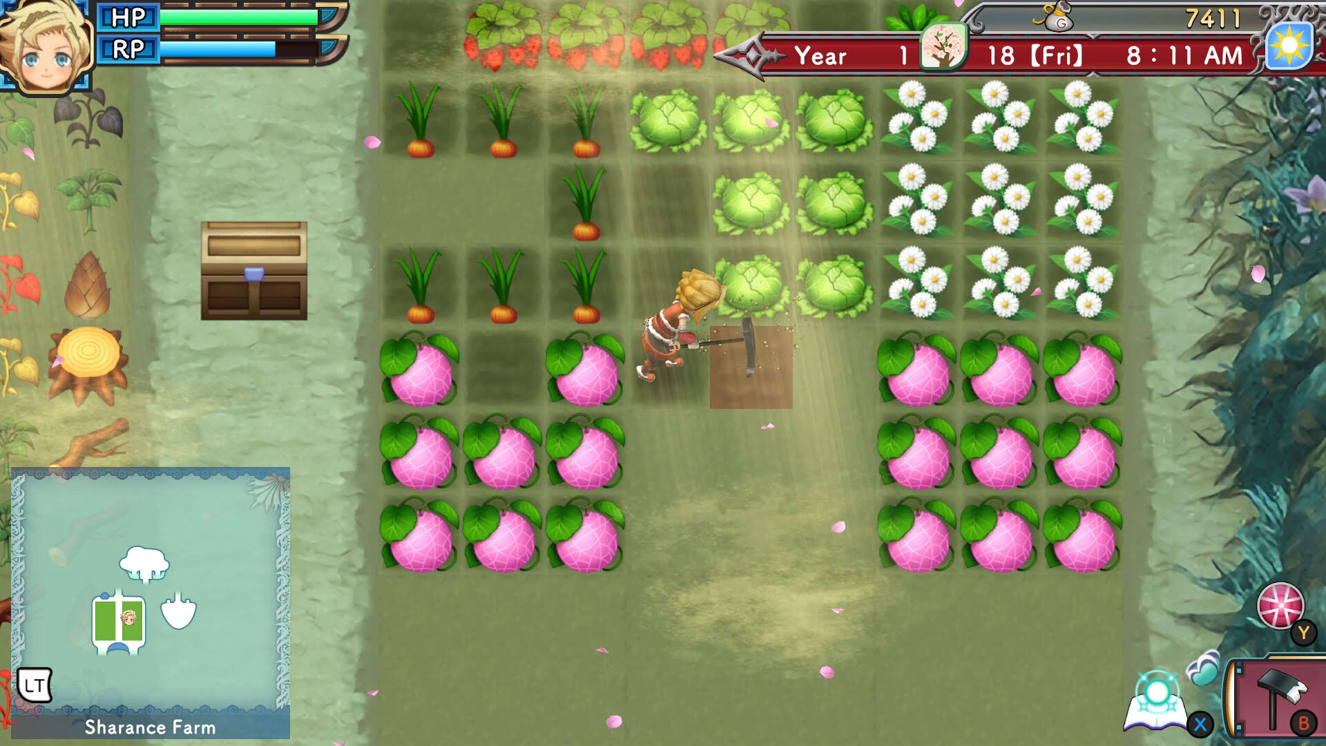 Screenshot for Rune Factory 3 Special