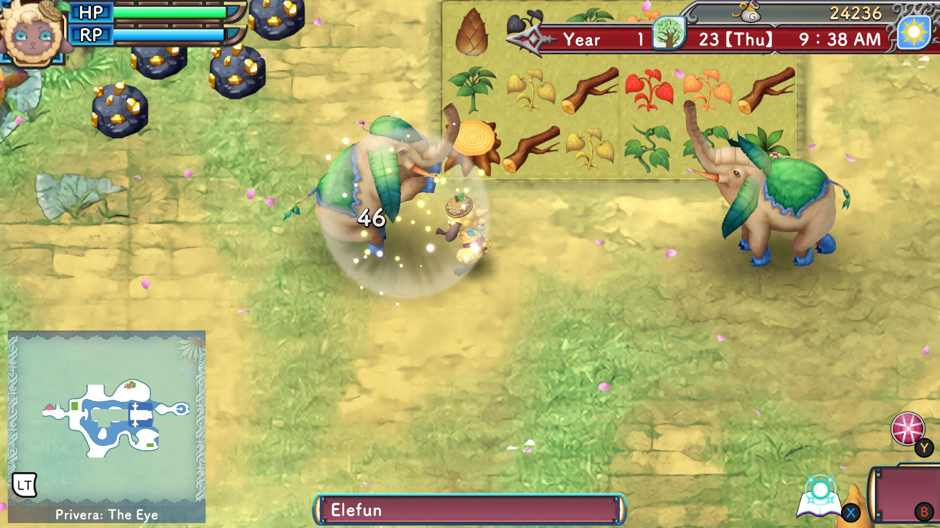 Screenshot for Rune Factory 3 Special
