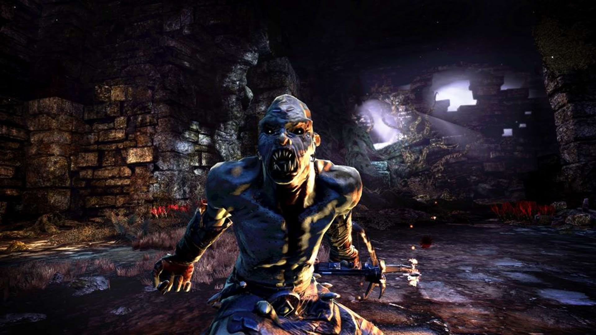 Screenshot for Hunted: The Demon's Forge