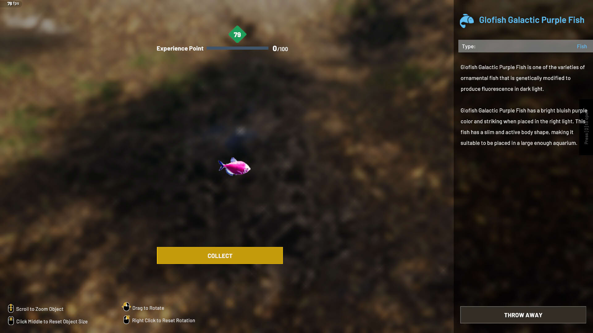 Screenshot for Aquascapers