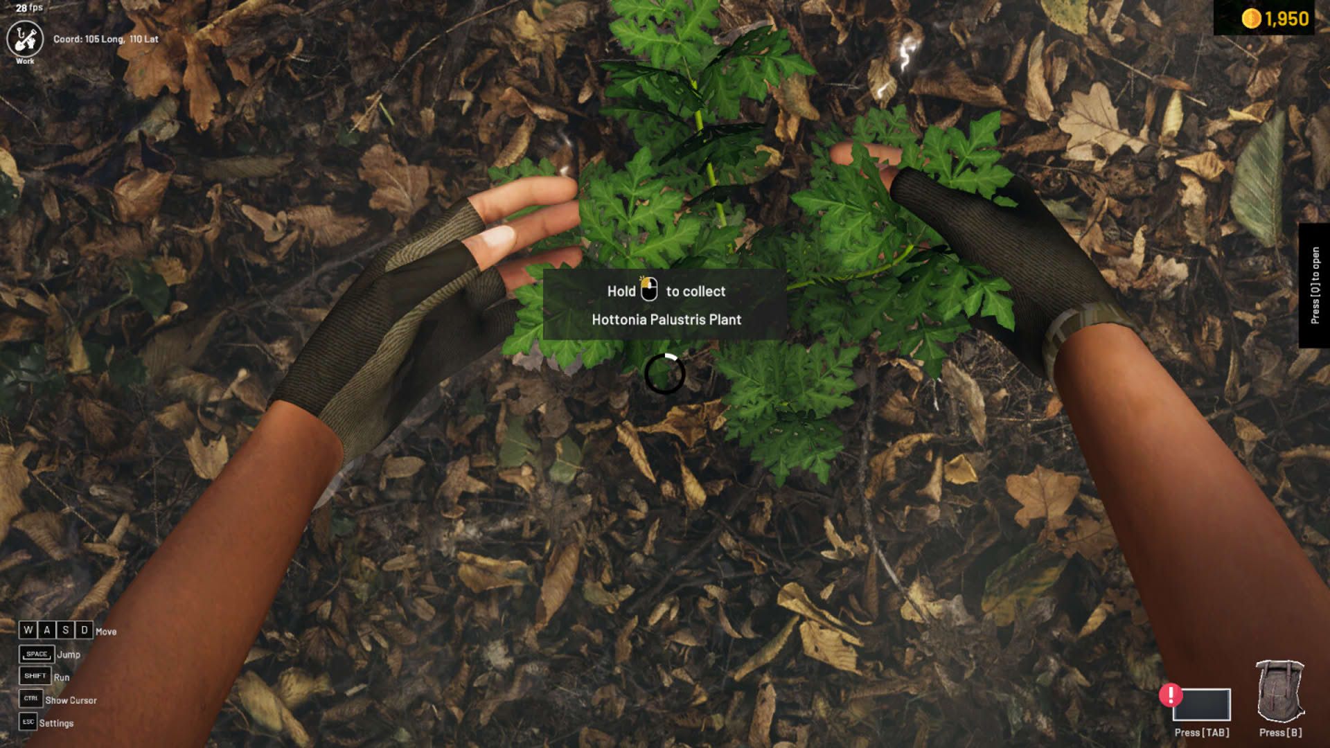 Screenshot for Aquascapers