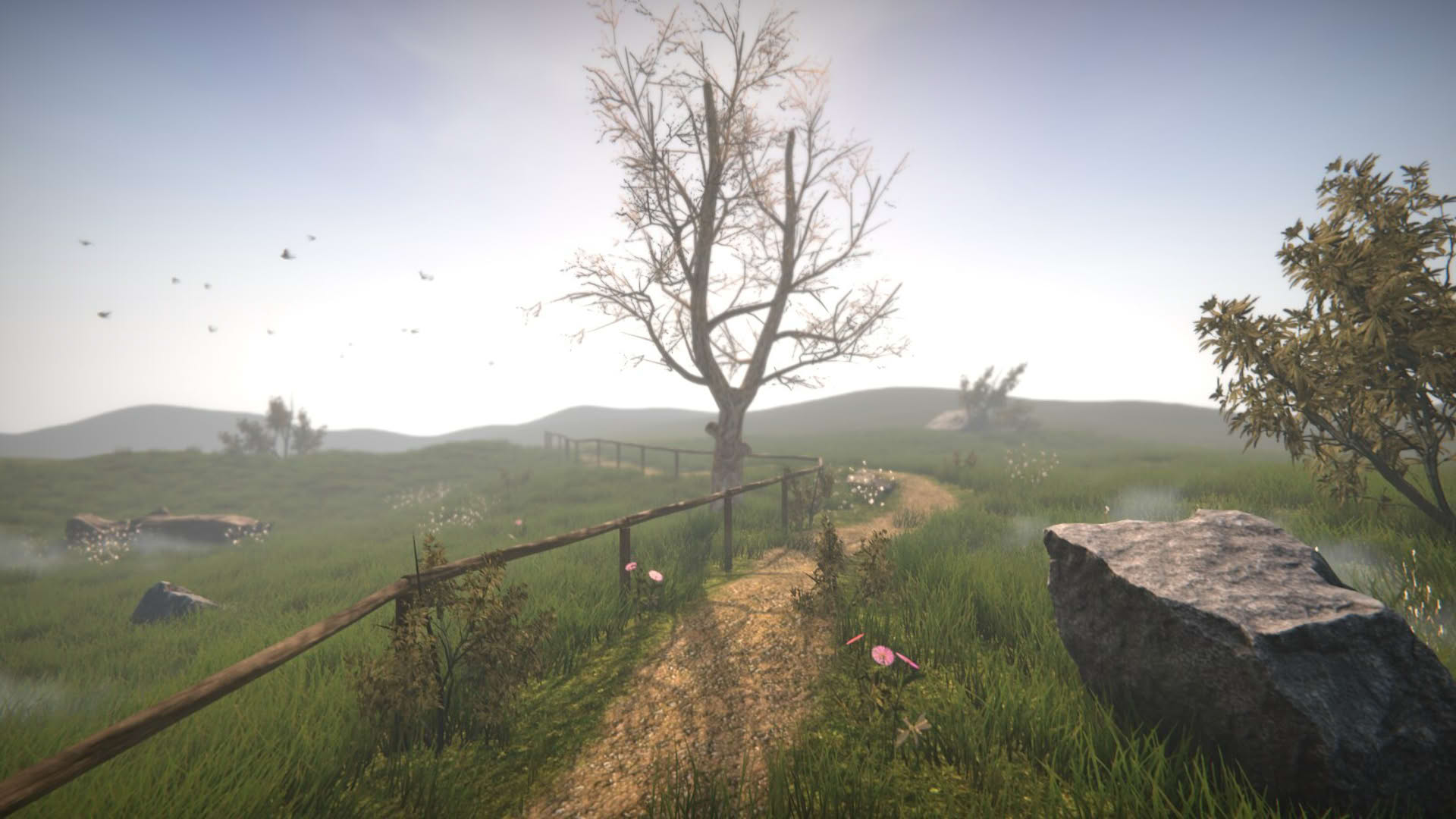 Screenshot for Dr. Emmerson's Nocturnes
