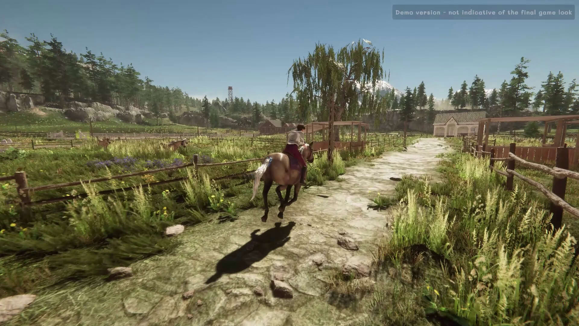 Screenshot for My Horse: Bonded Spirits