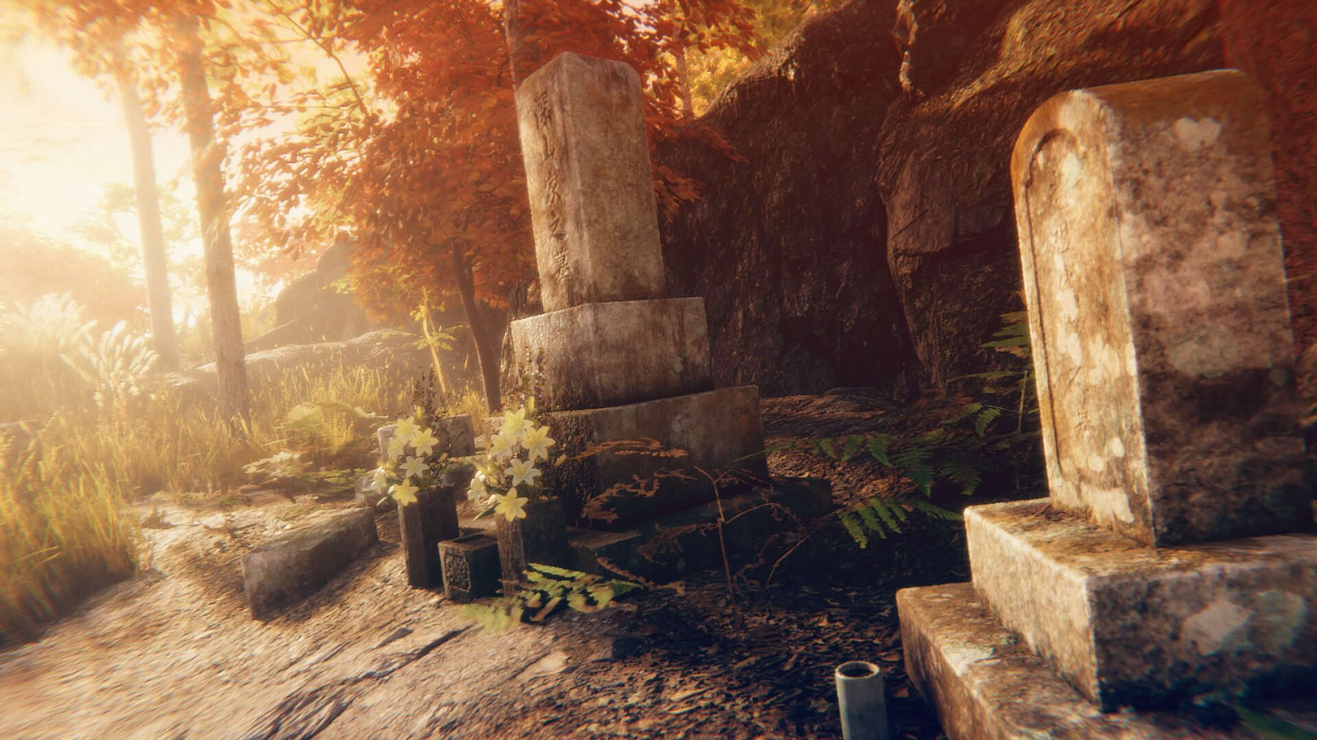 Screenshot for Hollow Cocoon