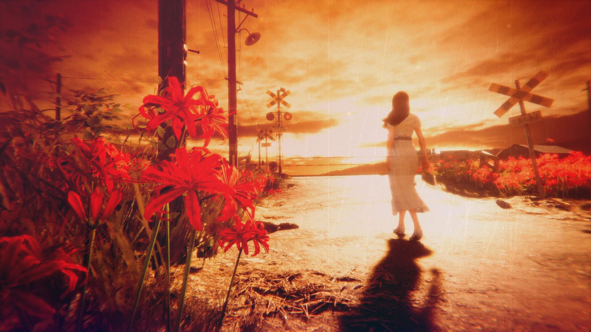 Screenshot for Hollow Cocoon