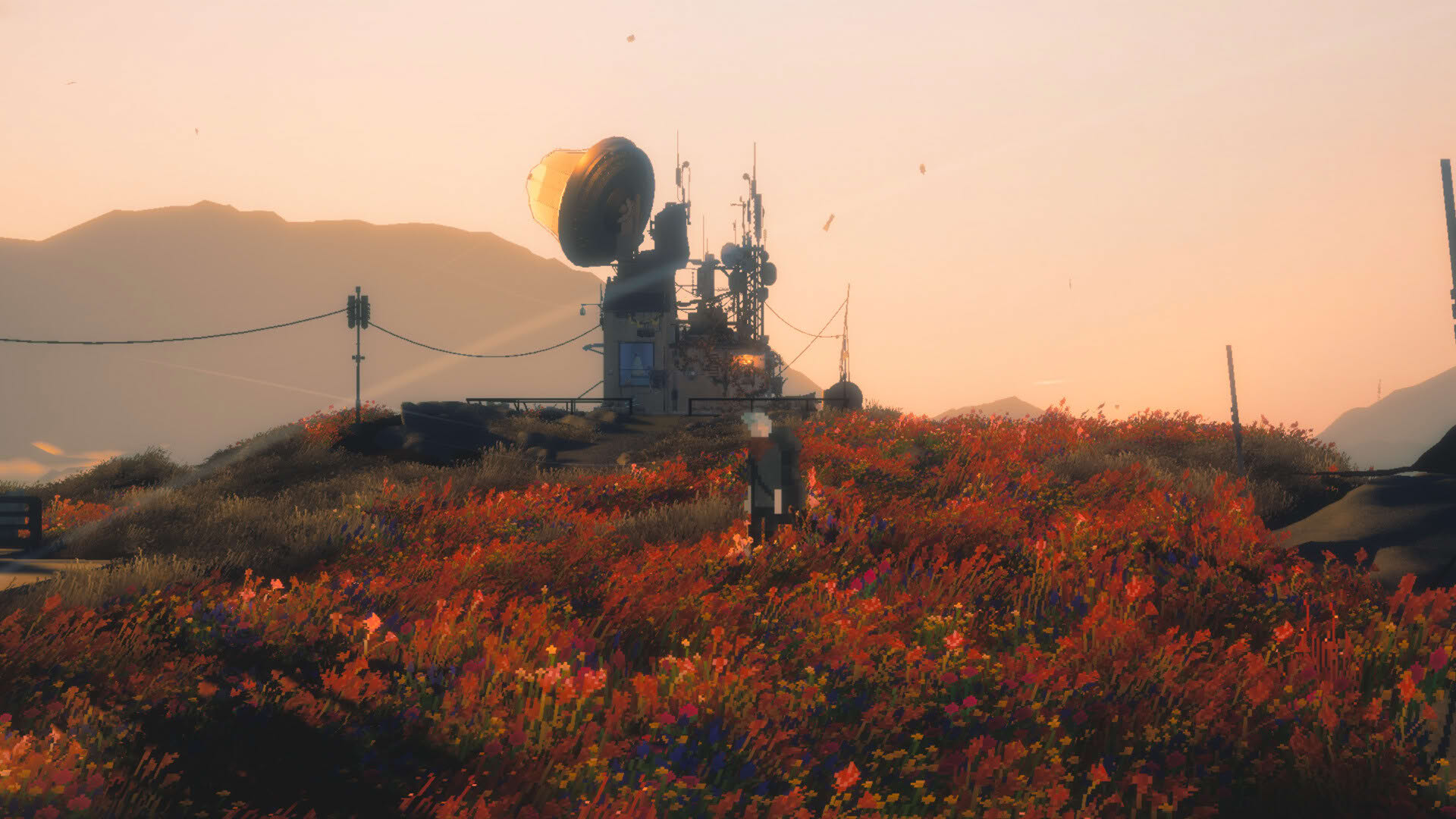 Screenshot for Beyond the Plastic Wall