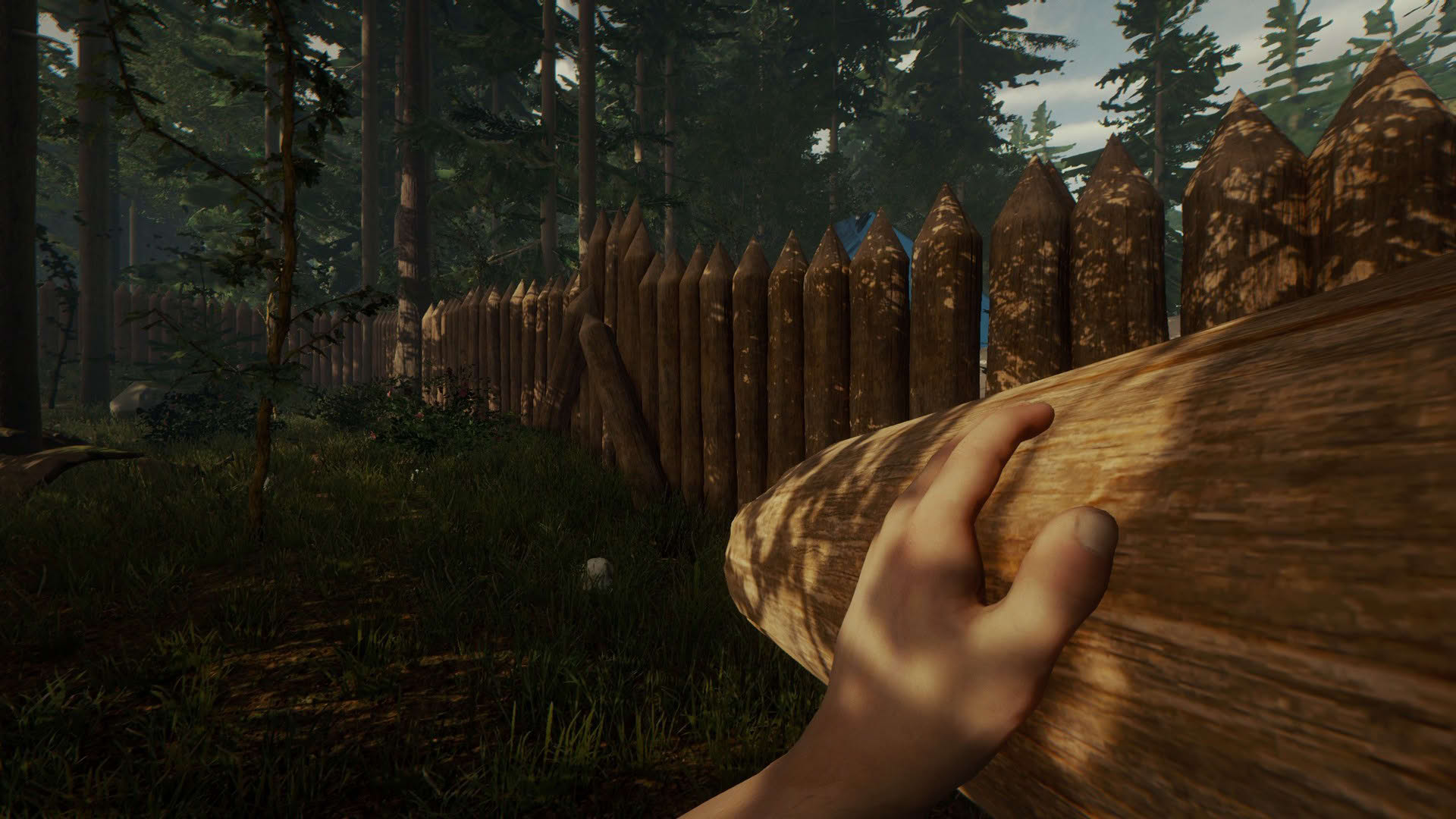 Screenshot for The Forest