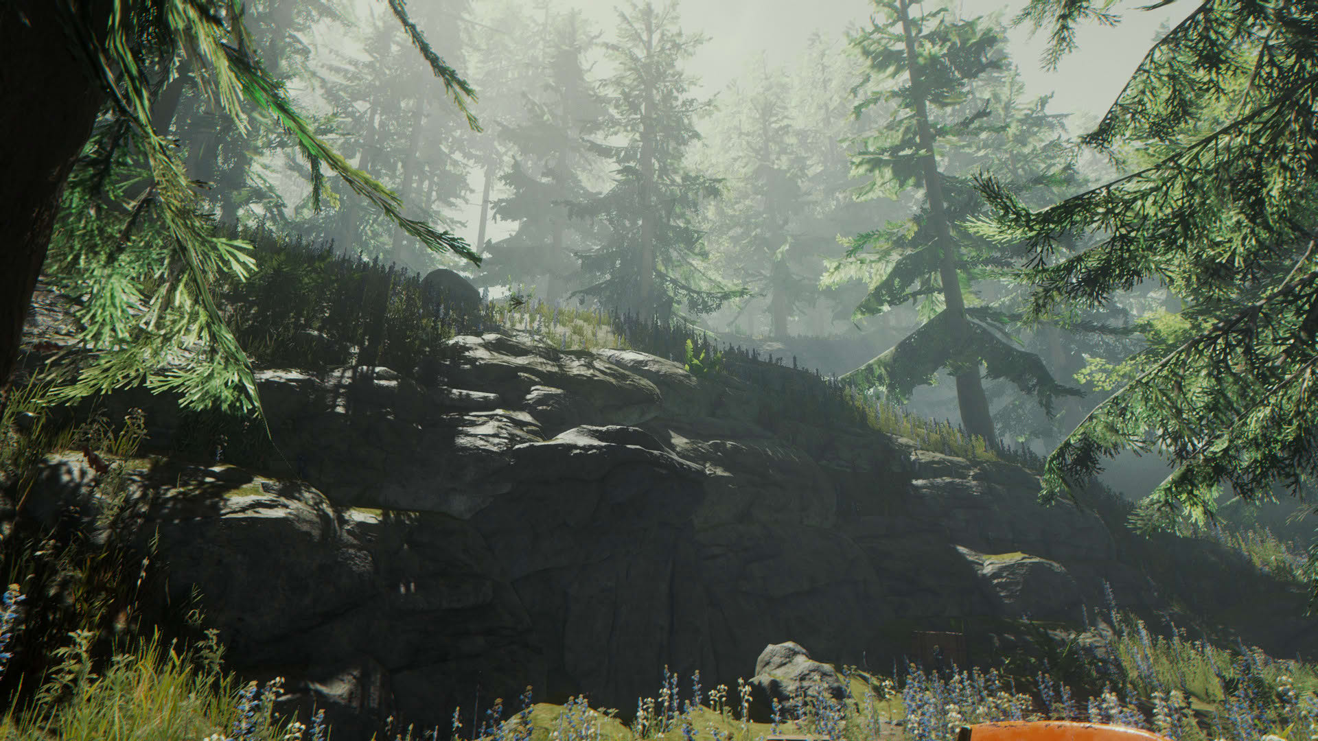 Screenshot for The Forest