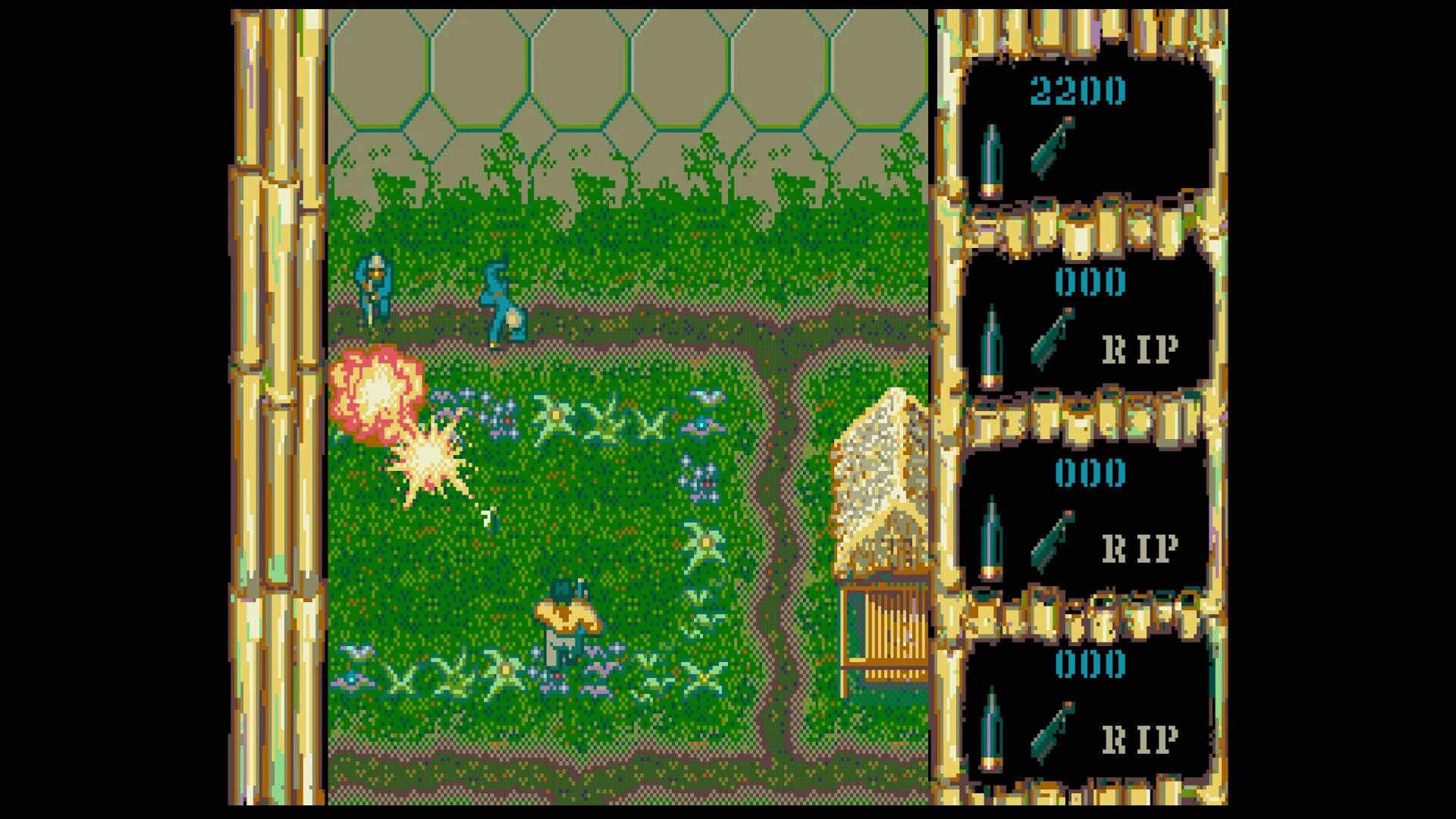 Screenshot for Leatherneck
