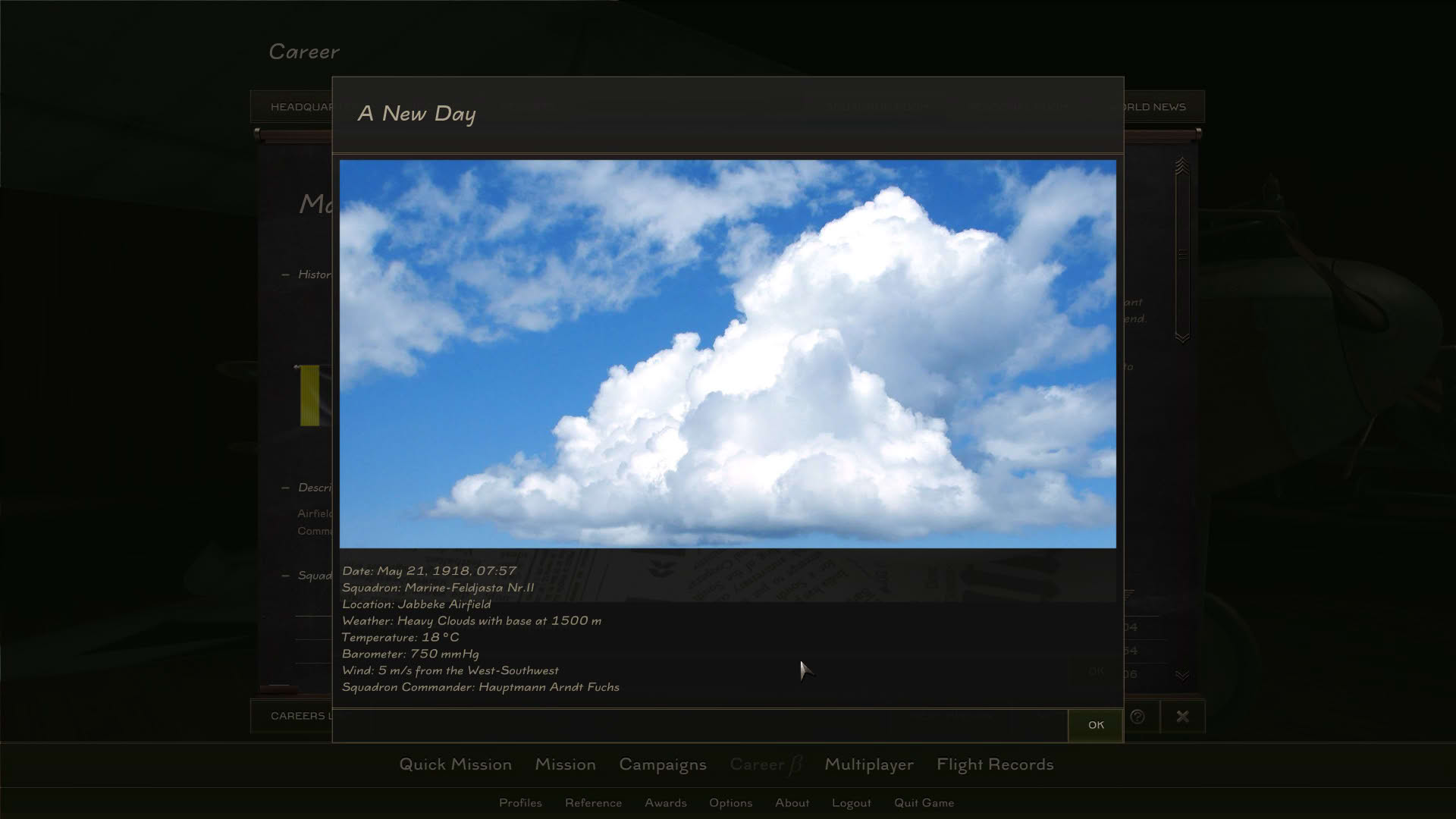 Screenshot for Rise of Flight United