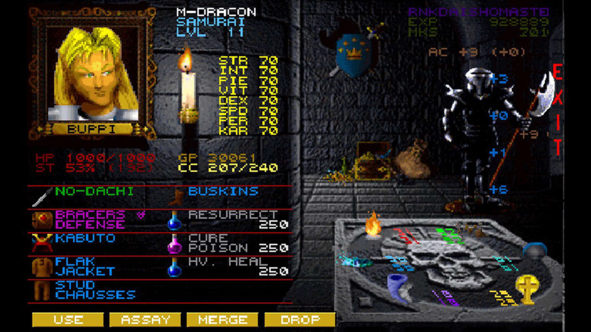 Screenshot for Wizardry: Crusaders of the Dark Savant
