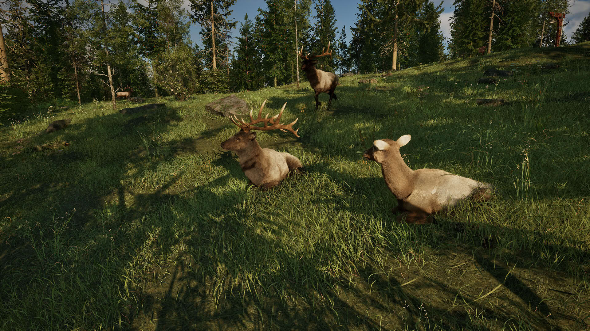 Screenshot for Ranger’s Path: National Park Simulator