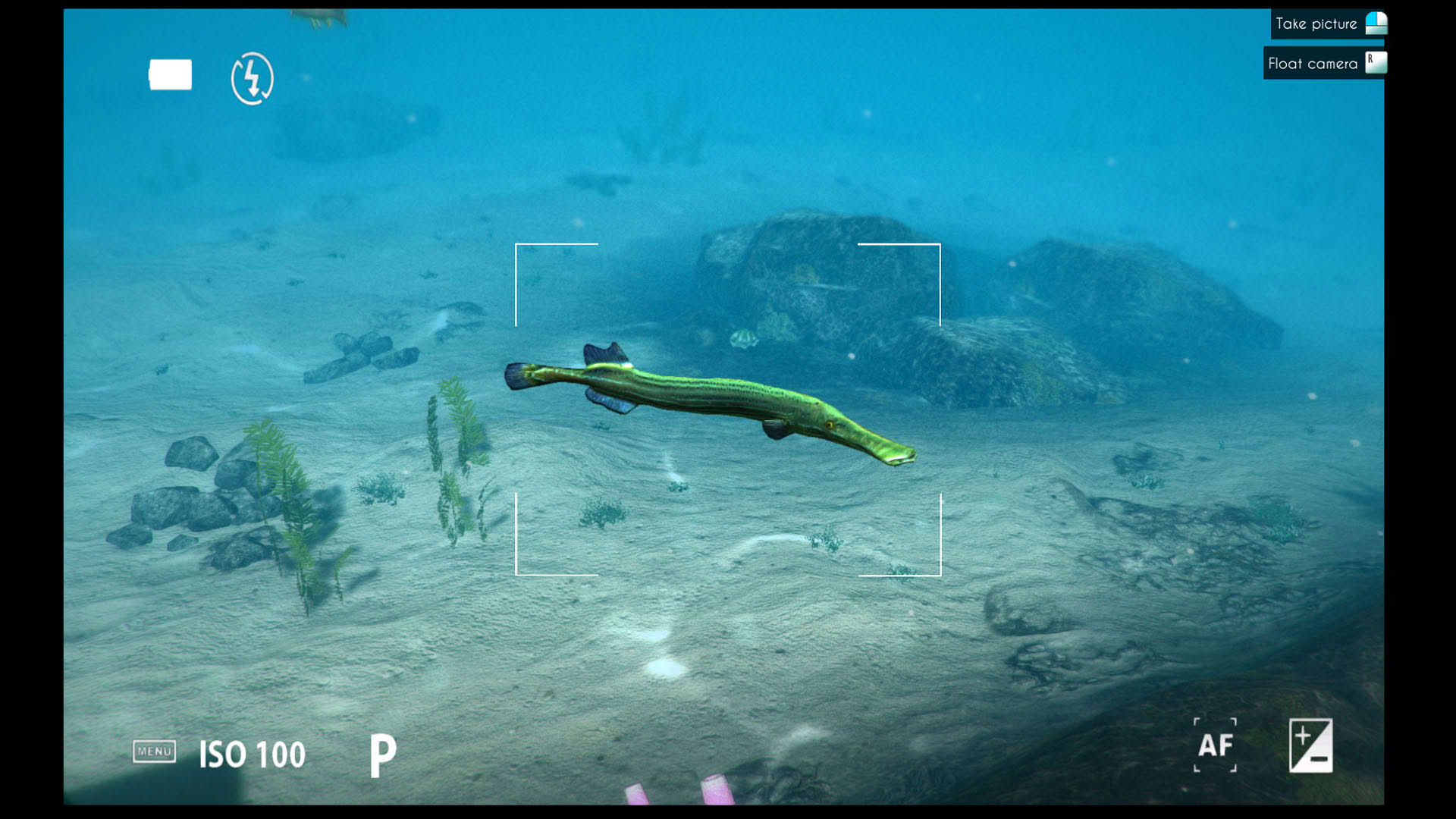 Screenshot for World of Diving