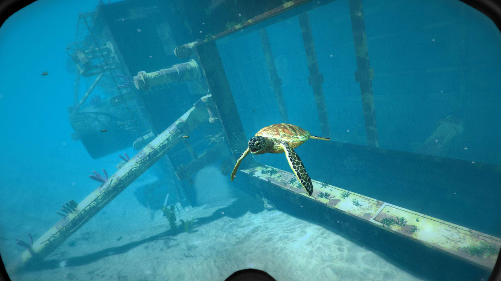 Screenshot for World of Diving