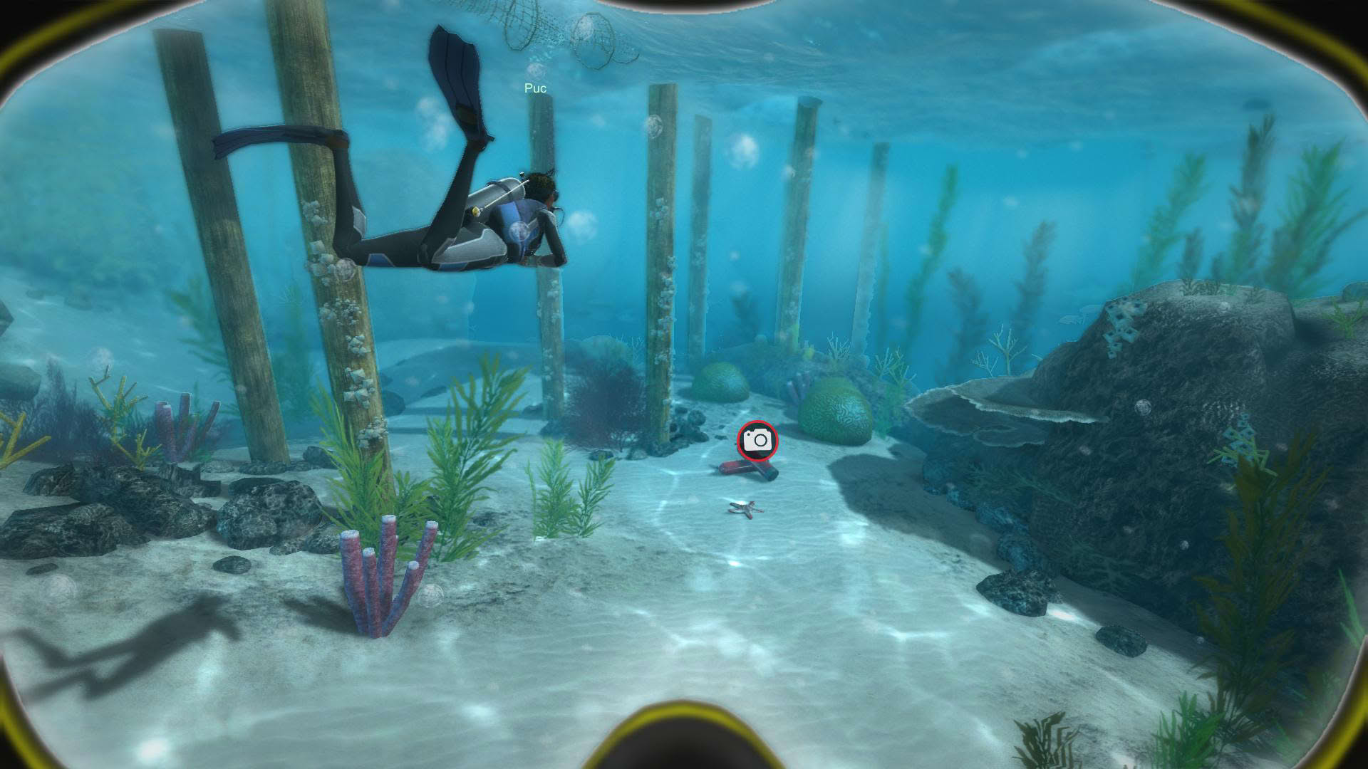 Screenshot for World of Diving