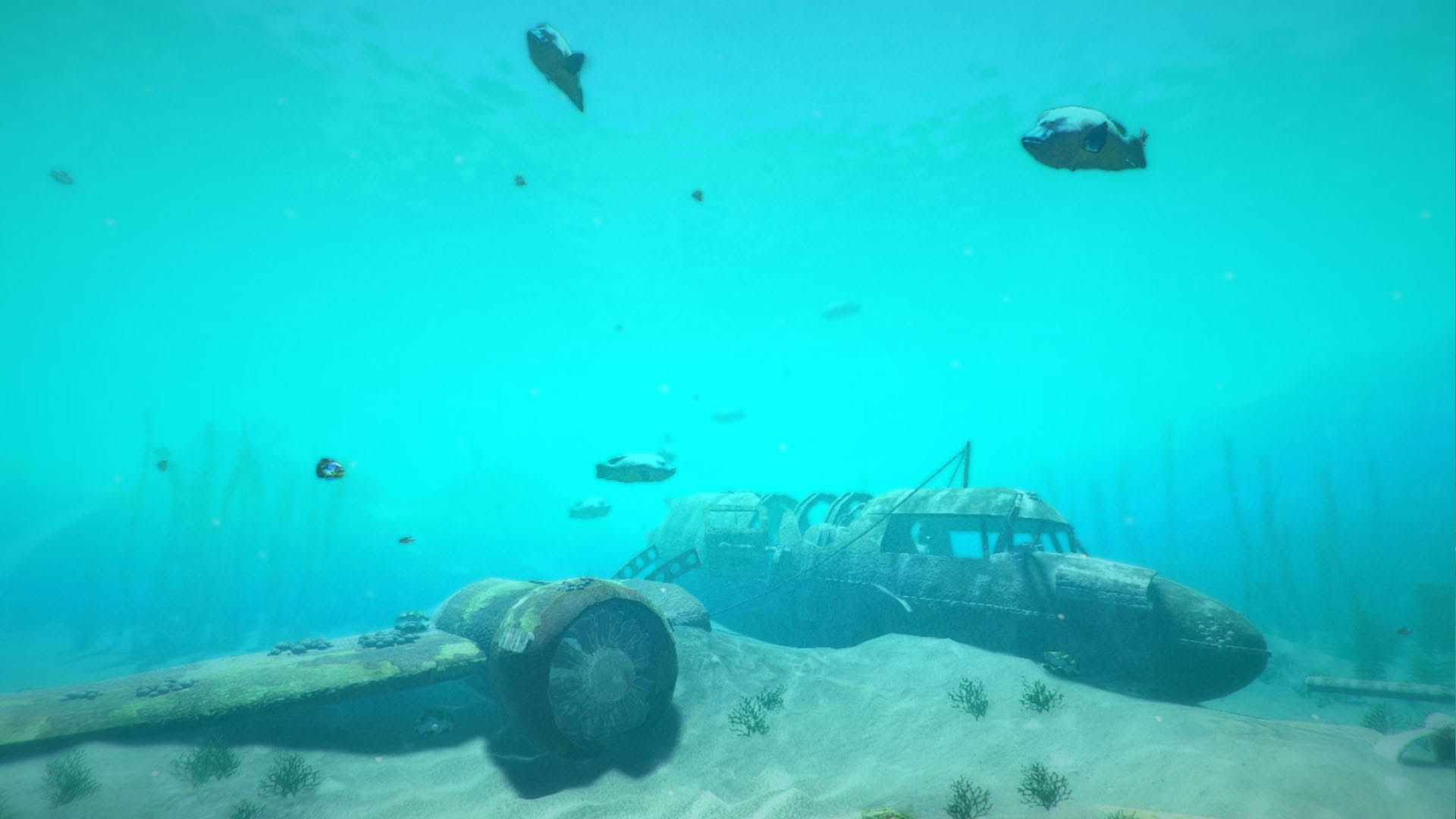 Screenshot for World of Diving