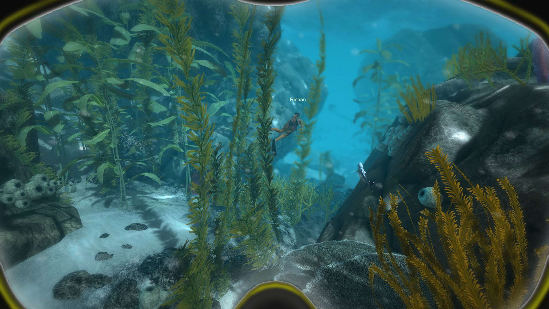 Screenshot for World of Diving