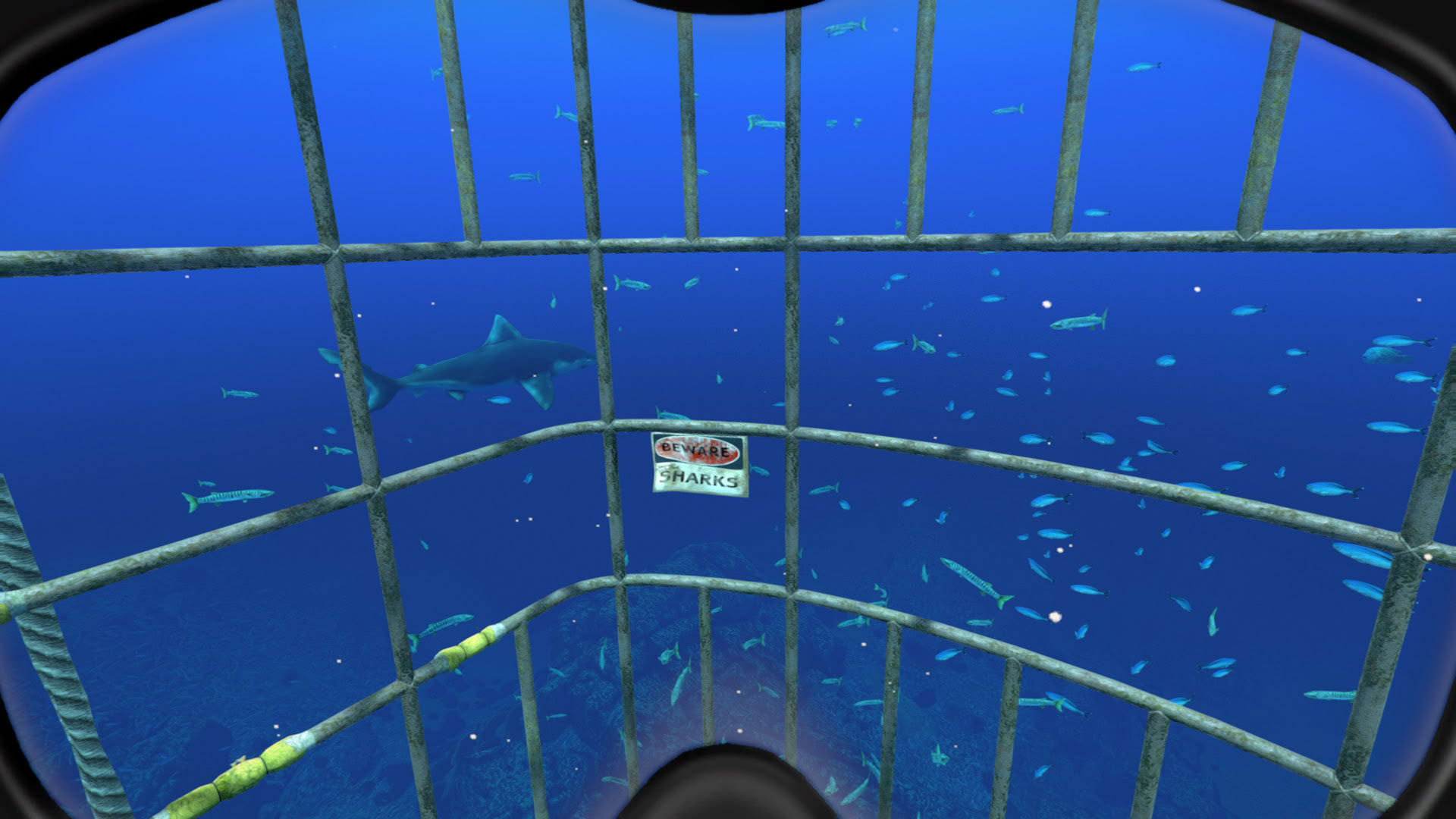 Screenshot for World of Diving