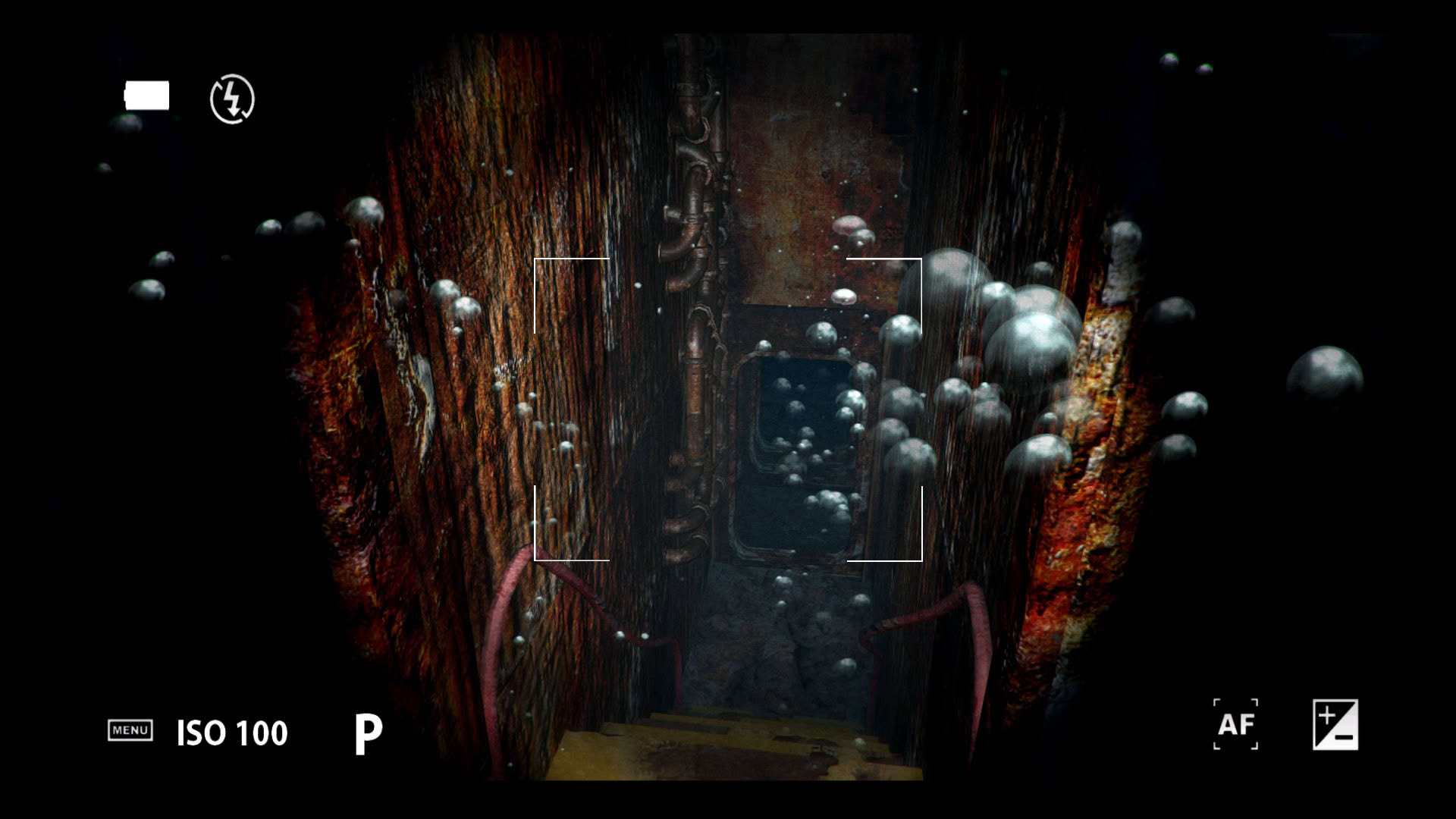 Screenshot for World of Diving