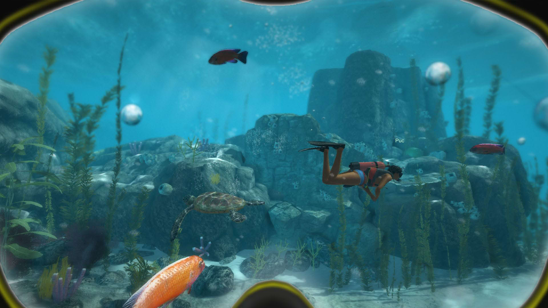 Screenshot for World of Diving