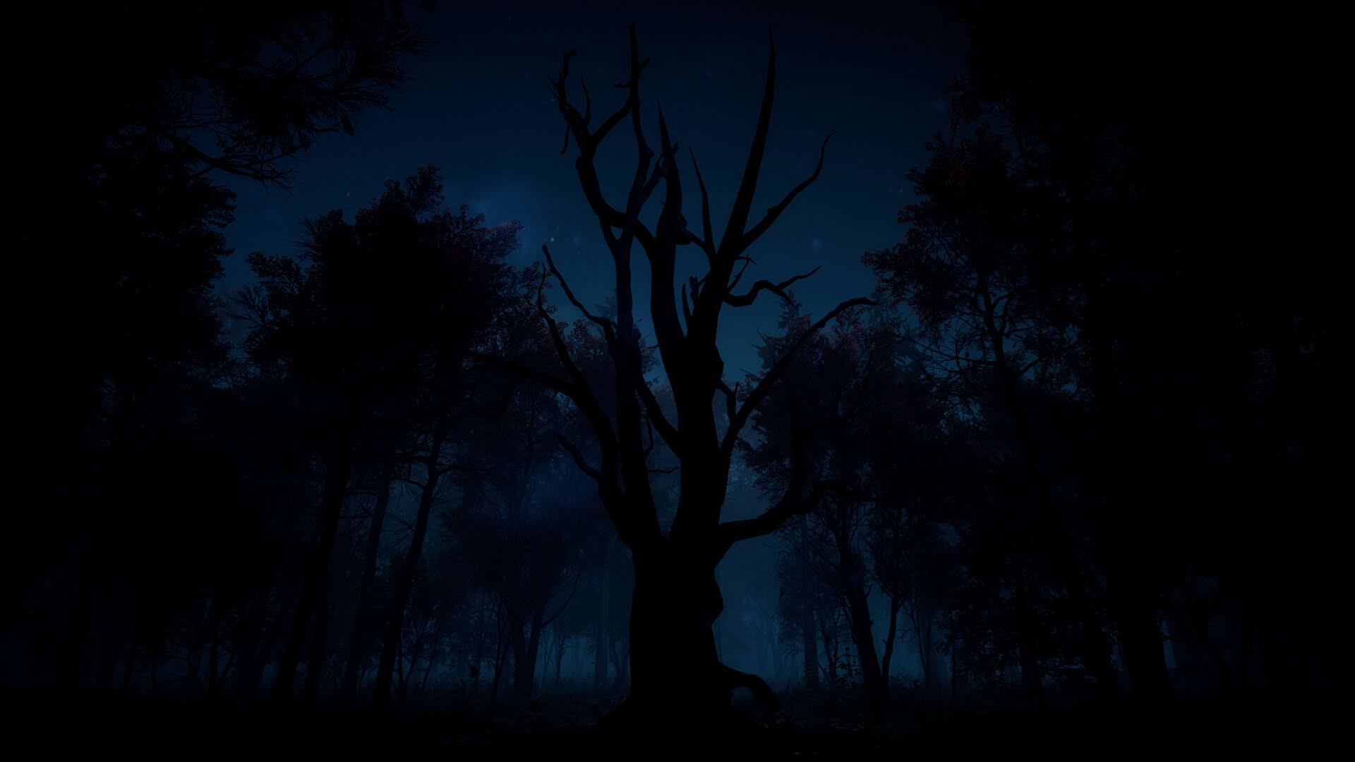 Screenshot for Slender: The Arrival