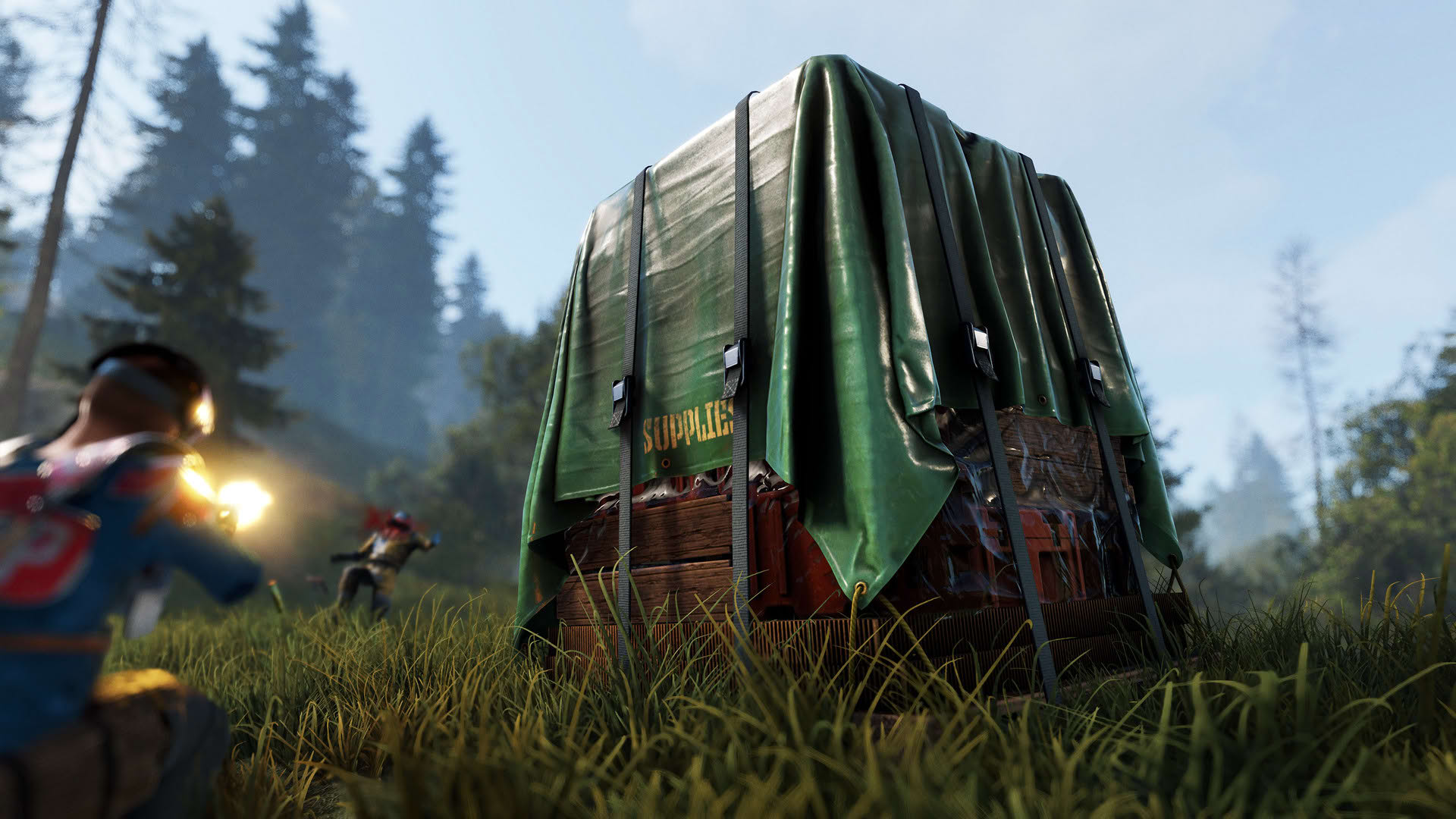 Screenshot for Rust