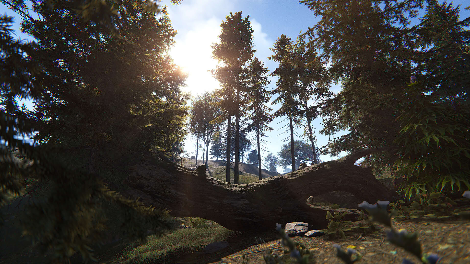 Screenshot for Rust